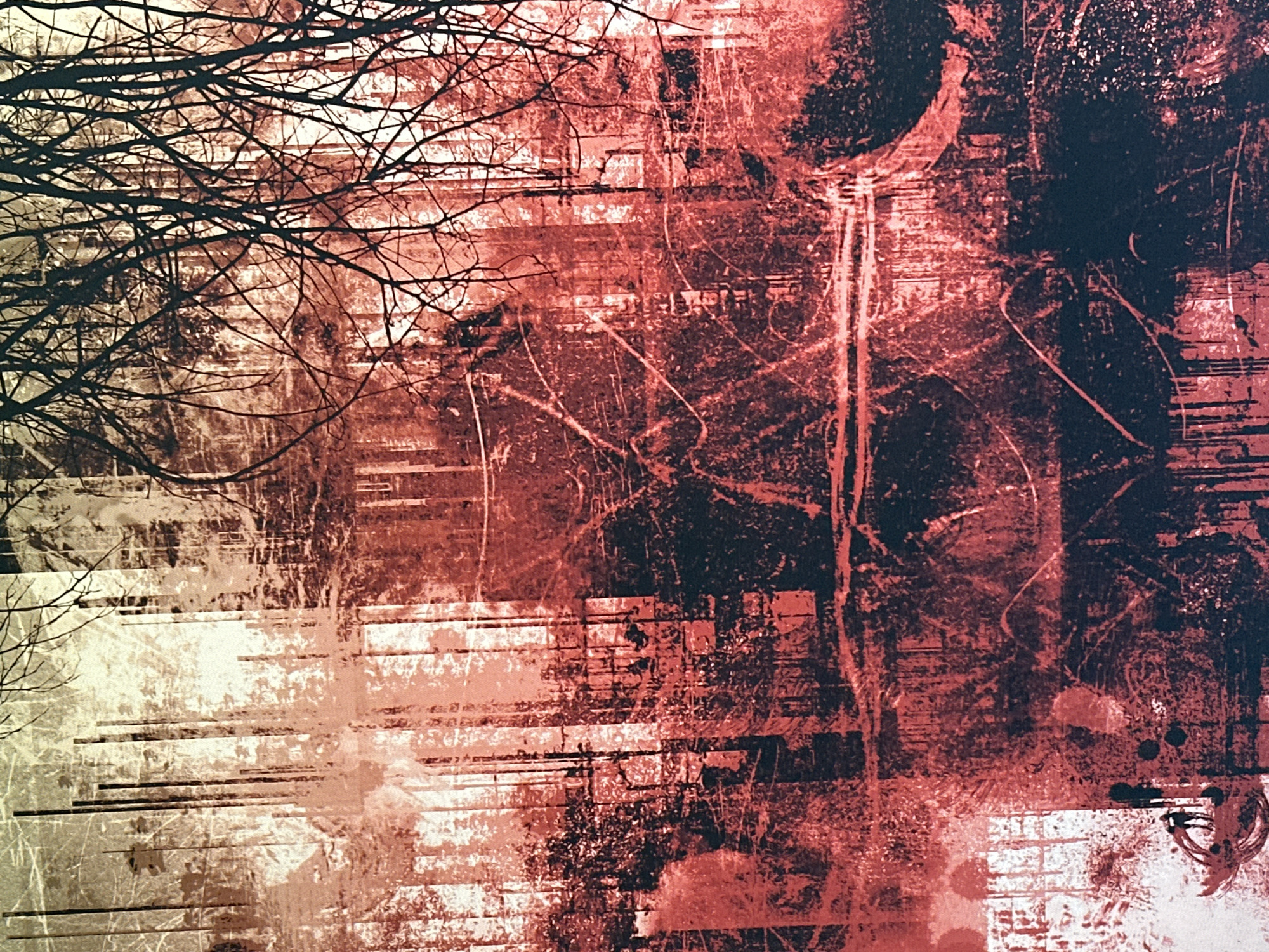 The image is an abstract, heavily textured artwork with a dominant red and black color palette, overlaid with hints of beige and white. The scene appears to be a composite, possibly a mixed-media collage or digital manipulation, creating a layered and somewhat chaotic visual effect.
In the foreground, the dense network of dark, bare branches of a tree dominates the upper right and extends across the frame, creating a stark silhouette against a lighter, textured background. These branches are sharp and angular, suggesting a wintery or desolated environment.
The background is a complex interplay of vertical and horizontal lines, reminiscent of urban architecture or a dense forest. There are indications of buildings with window-like structures, but they are indistinct and blurred, appearing as vertical streaks of lighter color interspersed with darker areas. Some areas suggest a textured surface, possibly like distressed concrete or weathered wood.
The overall impression is one of atmospheric depth and an eerie, somewhat somber mood. The abstract nature of the image makes it difficult to pinpoint specific objects or actions. There are no discernible people or clear indications of activity. The textures and the interplay of light and shadow create a sense of drama and a feeling of being in a place that is both familiar and alien.
The location of Ossenzijl, Netherlands, is not visually represented in this abstract artwork. The image does not contain any elements that specifically identify it as being from that location.