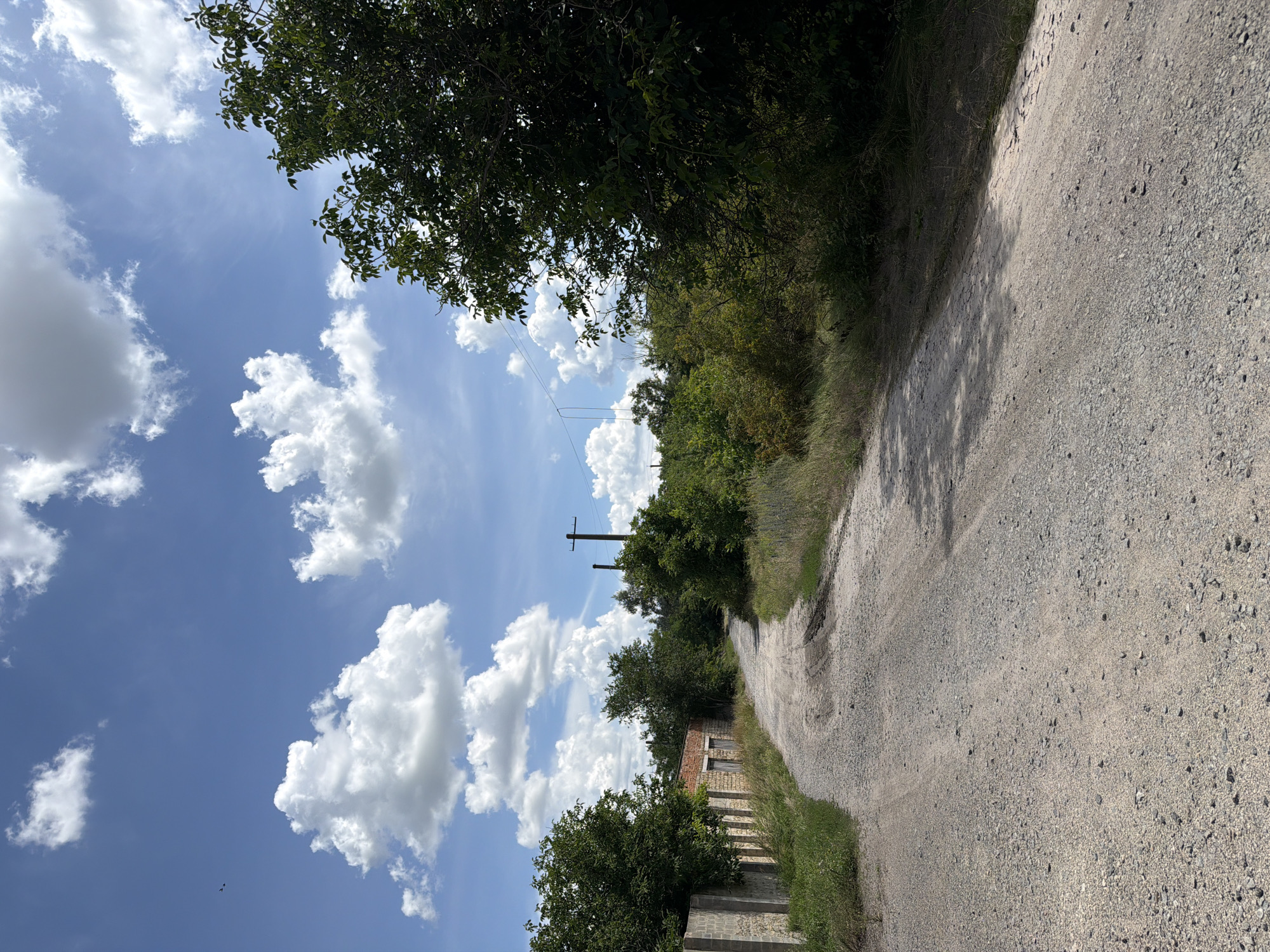 The image shows a winding dirt road in a rural area, likely on the outskirts of Lozuvatka, Ukraine. The road is covered in gravel and shows tire tracks, indicating recent vehicle use. On the left side of the road, there is a low, weathered brick building with two closed doorways and a concrete fence. Tall green grass and weeds grow along the side of the road and around the building. Further down the road, trees and dense foliage line both sides, creating a somewhat overgrown landscape. In the background, a wooden utility pole with wires stretches across the sky. The sky is a clear blue with scattered, fluffy white clouds. The overall impression is one of a quiet, rural setting on a bright, sunny day.