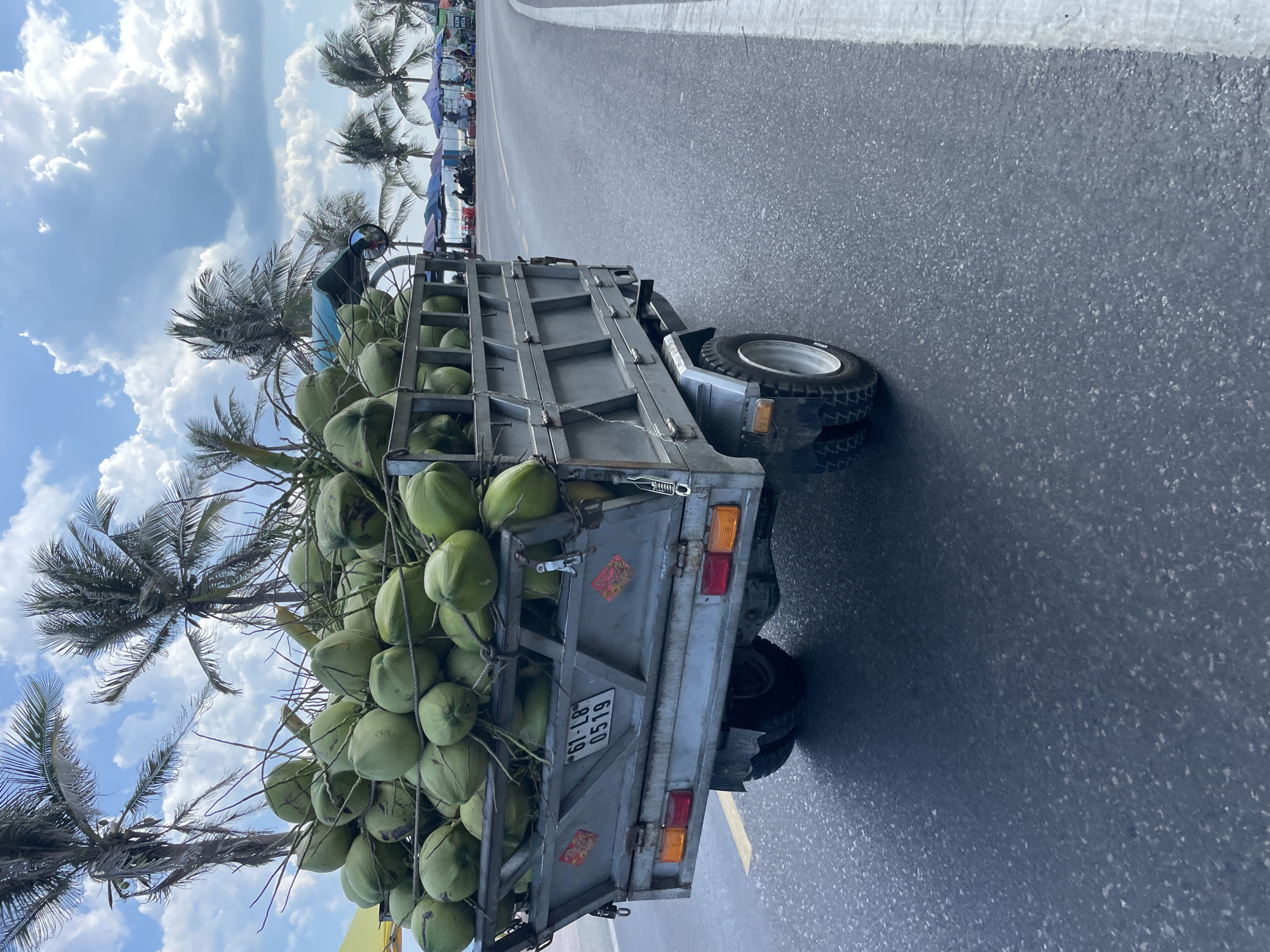 A trailer filled with green coconuts is being towed by a vehicle on a paved road in Phu Thuy Ward, Vietnam. The trailer is a metal, rectangular structure with a license plate reading "61-L8 0519". It is loaded with a large quantity of coconuts, some of which are tied down with rope. The trailer has dual wheels on each side. The road is asphalt and has a white line marking the edge of the lane. In the background, palm trees line the roadside, and several stalls with umbrellas are set up, suggesting a market or tourist area. The sky is blue with scattered white clouds. There are no people clearly visible in the immediate vicinity of the trailer.