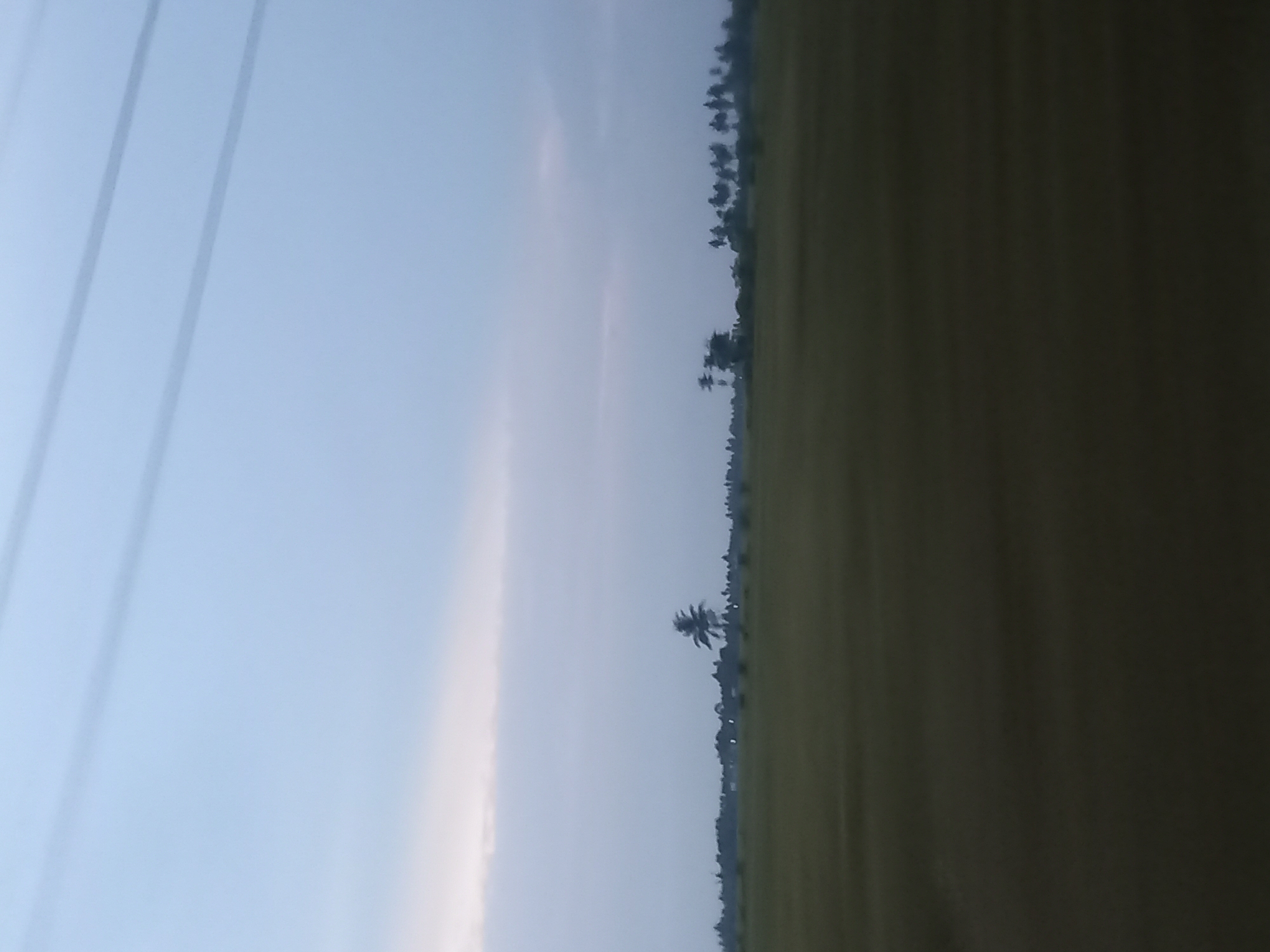 The image depicts a hazy, overcast sky over a flat, green expanse, likely a field or paddy, with a distant tree line dotted with more trees. A single, prominent palm tree stands out against the horizon. Electrical wires are visible stretching across the upper portion of the sky. The overall scene is one of a rural, open landscape under a subdued sky. The context provided indicates the location is Bateiiliek, Indonesia.