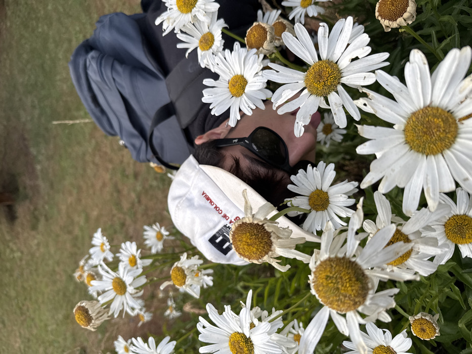 A person with sunglasses and a white baseball cap lies among many white daisies. A grey backpack is behind the person's head. The daisies fill much of the frame, with some dried and withered, others in full bloom. Green grass is visible in the background. The image is shot from an overhead perspective. The person seems to be lying on their side, face up among the flowers.