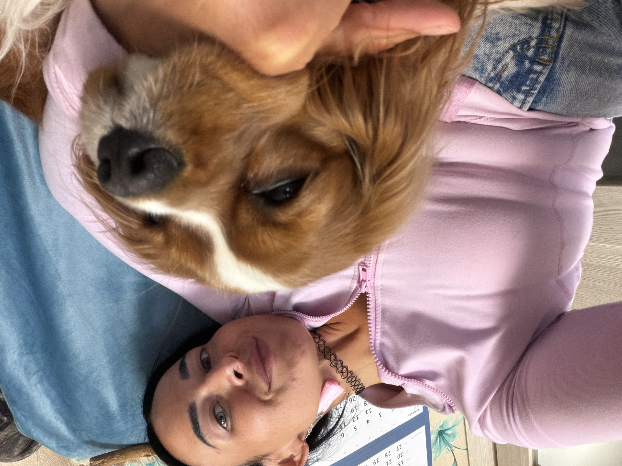 A woman is lying on a blue surface, possibly a bed or couch, holding a tan and white dog close to her face. She is wearing a light pink zip-up jacket. A portion of a calendar with the word "ФЕВРАЛЬ" (February) and "2026" can be seen in the lower right corner of the image. The context implies this image was taken in Бронницы, Russia, according to the provided context.