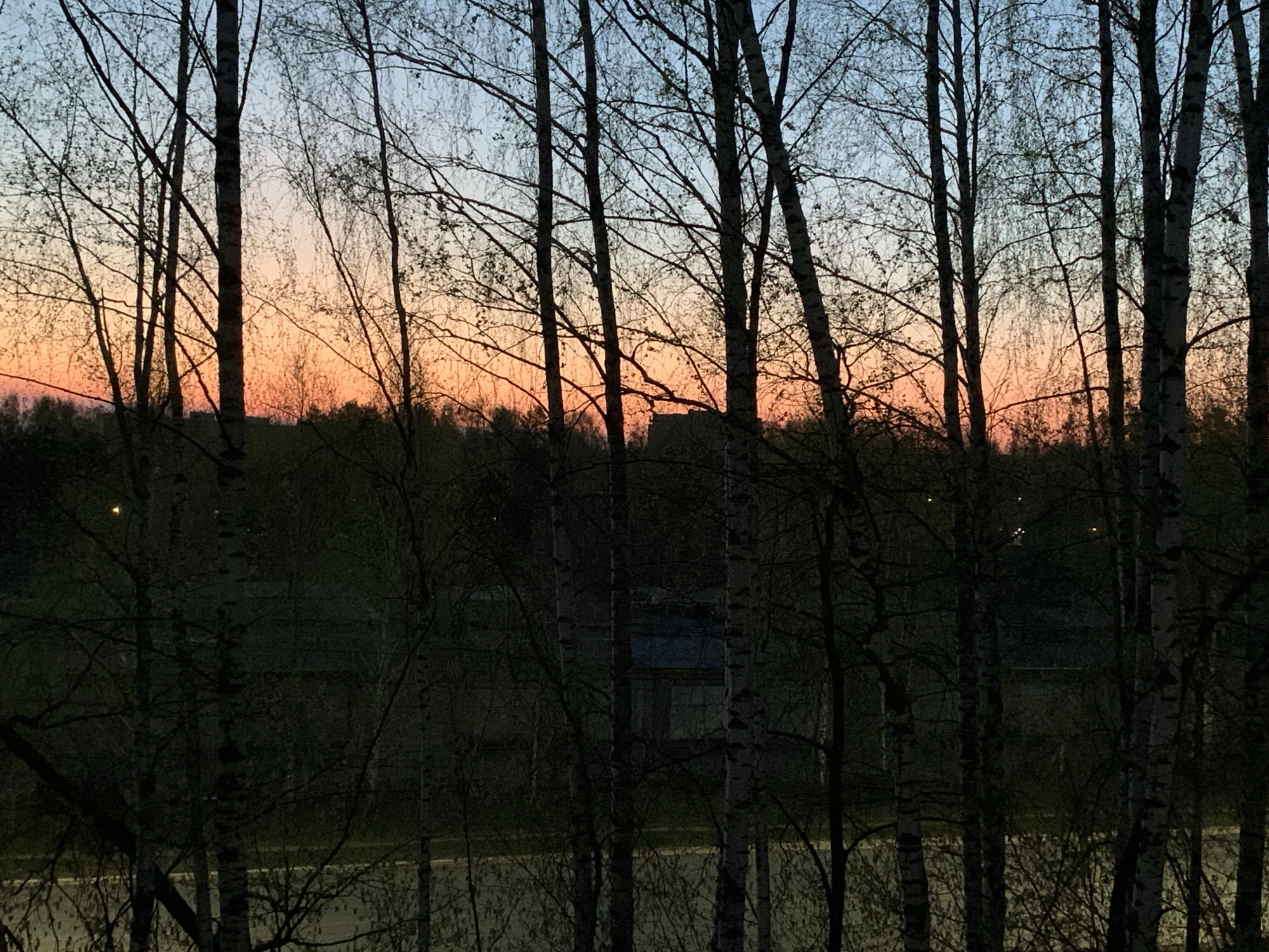 The image depicts a view from a window, likely in Chaikovsky, Russia. In the foreground, several birch trees with bare branches dominate the scene, their dark trunks contrasting with the twilight sky visible through the gaps. The sky shows a gradient of colors, transitioning from a pale blue at the top to orange and pink hues near the horizon. Below the horizon, a dark band of trees and possibly rooftops can be discerned. A road is faintly visible at the bottom of the image. There are no people visible. The lighting is dim, suggesting either early morning or late evening. The overall mood is tranquil and still.
