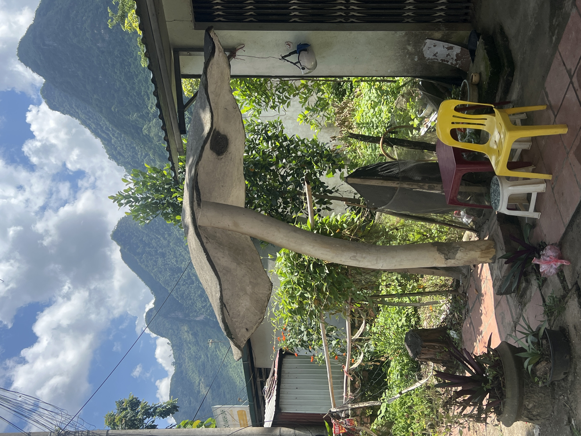 The image depicts an outdoor scene in Lùng Tám Commune, Vietnam, characterized by a whimsical mushroom-shaped sculpture. The sculpture, made of concrete or a similar material, features a large, flat cap and a thick stem, and is positioned prominently in the foreground. To the right of the sculpture, a white helmet is suspended by a string from the exterior wall of a building.
In front of the building, a yellow plastic chair and a small red table are set up, accompanied by a white stool. The ground is paved with reddish-brown tiles. A variety of potted plants are scattered around, including a spiky purple plant in a weathered pot at the base of the mushroom sculpture. Behind the sculpture and furniture, lush green vegetation flourishes, with some flowering plants exhibiting small orange blooms.
Further in the background, a corrugated metal shed is visible, as well as a chain-link fence partially obscured by foliage. Dominating the skyline are majestic, tree-covered mountains under a partly cloudy sky. The scene suggests a rural or semi-rural setting, likely a residential yard or a small business, with a blend of decorative elements and functional outdoor furniture. There are no people visible in the image.