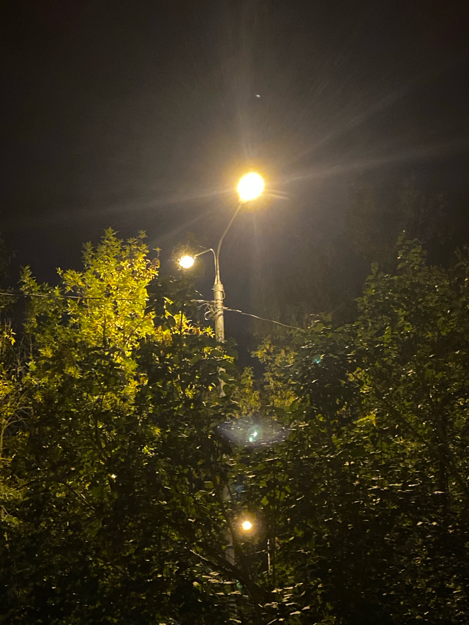 In Ivanteyevka, Russia, a nighttime photograph captures a street scene dominated by the warm glow of two streetlights amidst dense foliage. The primary streetlight, a bright, circular lamp mounted on a pole with visible wires, is positioned in the upper center of the frame, casting a strong yellow light that creates a prominent lens flare and illuminates the surrounding leaves. A secondary, smaller streetlight is visible lower and to the left, also emitting a warm light. Lush green trees and bushes fill the foreground and mid-ground, their leaves catching the artificial light, creating pockets of brightness and shadow. The background is dark, indicating nighttime and a lack of ambient light. The image is composed from a low angle, looking upwards towards the streetlights and through the branches of the trees.