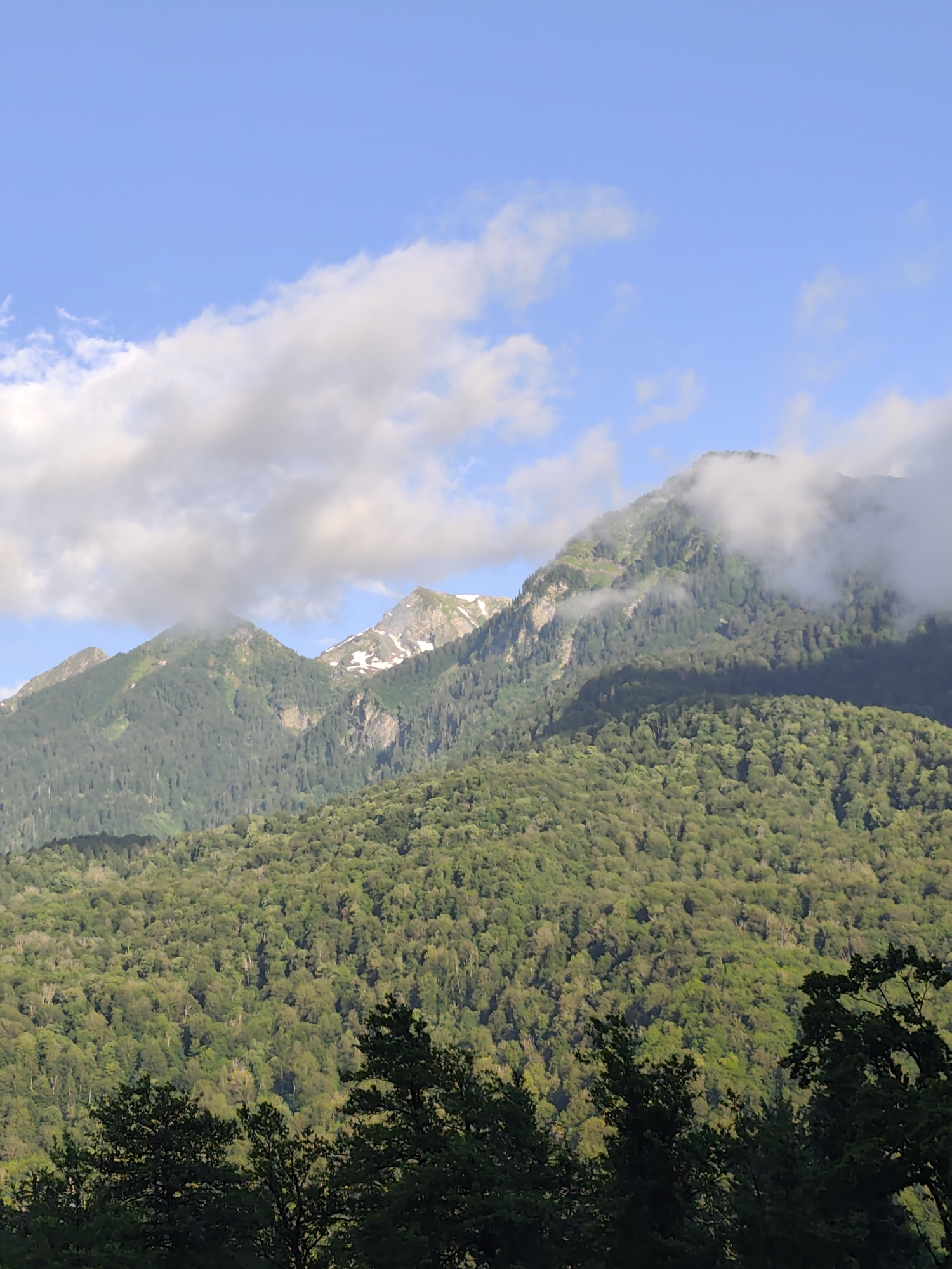 This media file depicts a majestic mountain landscape under a partly cloudy blue sky, likely taken in Krasnaya Polyana, Russia. The scene is dominated by lush, verdant mountain slopes covered in dense forest. Higher up, the mountains reveal rocky outcrops and patches of snow, suggesting significant elevation. Wisps of clouds drift around the peaks, partially obscuring some of the summits and adding a sense of depth and atmosphere to the scene.
The time of day appears to be either late morning or early afternoon, given the bright sunlight casting shadows across the mountainsides and illuminating the forest canopy. The weather is fair, with a clear sky and scattered clouds. The overall mood is one of natural grandeur and tranquility. The foreground is framed by the dark silhouettes of trees, creating a natural border that draws the viewer's eye towards the impressive mountain vista. No people, objects, or text are visible in the image.