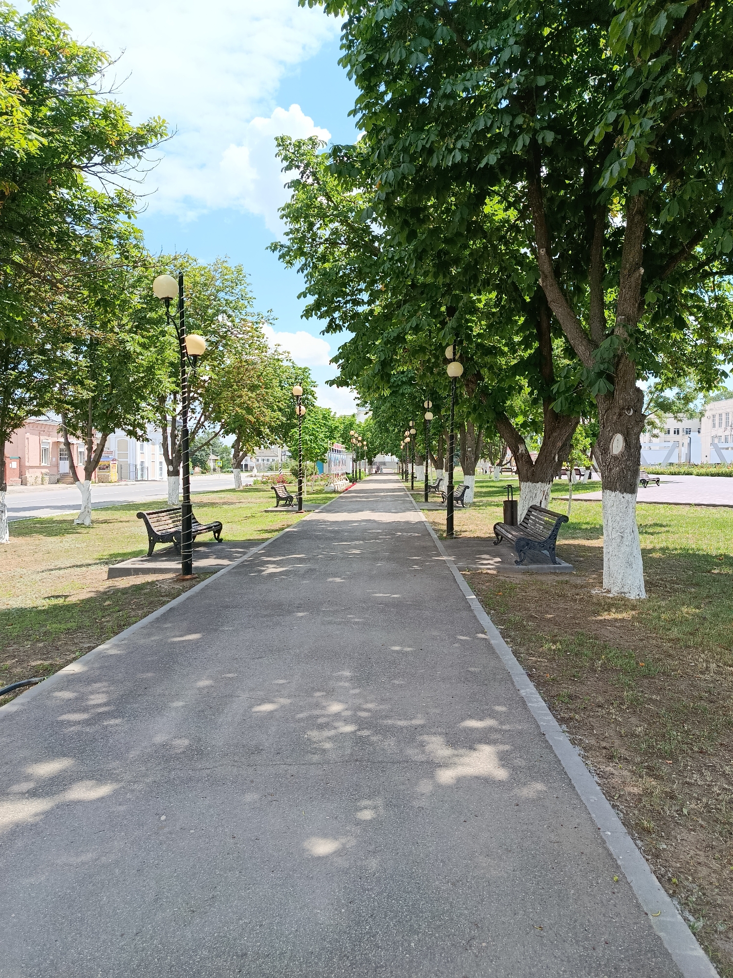 The image depicts a paved pedestrian walkway lined with mature trees on both sides, located in the city of Marx, Russia. The walkway extends into the distance, suggesting a park or a tree-lined avenue. Several benches are visible along the walkway, providing seating. Lampposts, adorned with decorative wiring, are also spaced along the path. The trees are lush with green foliage, indicating a warm season, likely summer. The ground beneath the trees is covered in grass, and dappled sunlight filters through the leaves, casting shadows on the walkway. In the background, buildings and a road can be seen, suggesting the walkway is part of a public urban space. The sky above is blue with scattered white clouds. There are no people visible in the image.
