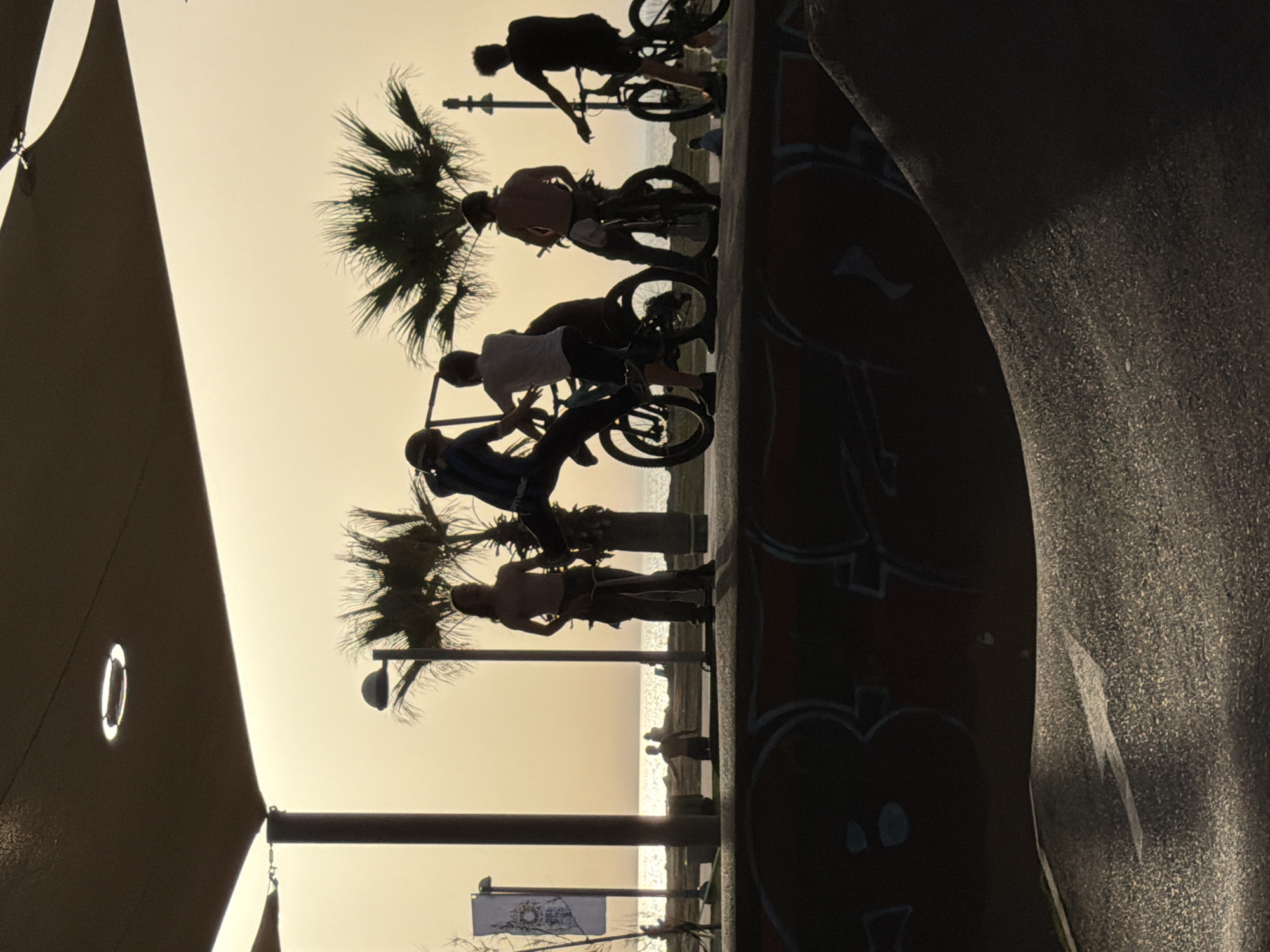The image depicts a group of individuals riding bicycles at a skatepark or beachfront area in Tel-Aviv, Israel, likely at sunset. The scene is silhouetted against a pale sky, with palm trees visible in the background. There are at least four cyclists, possibly more. Some are riding on a ramp or ledge, and one is performing a stunt. The foreground includes a structure that is partially visible, potentially a covered area or shade structure, with a circular light or opening. A painted or graffiti-covered wall is also present, adjacent to a skatepark feature. The background shows the ocean. There are a few people standing near the ocean.