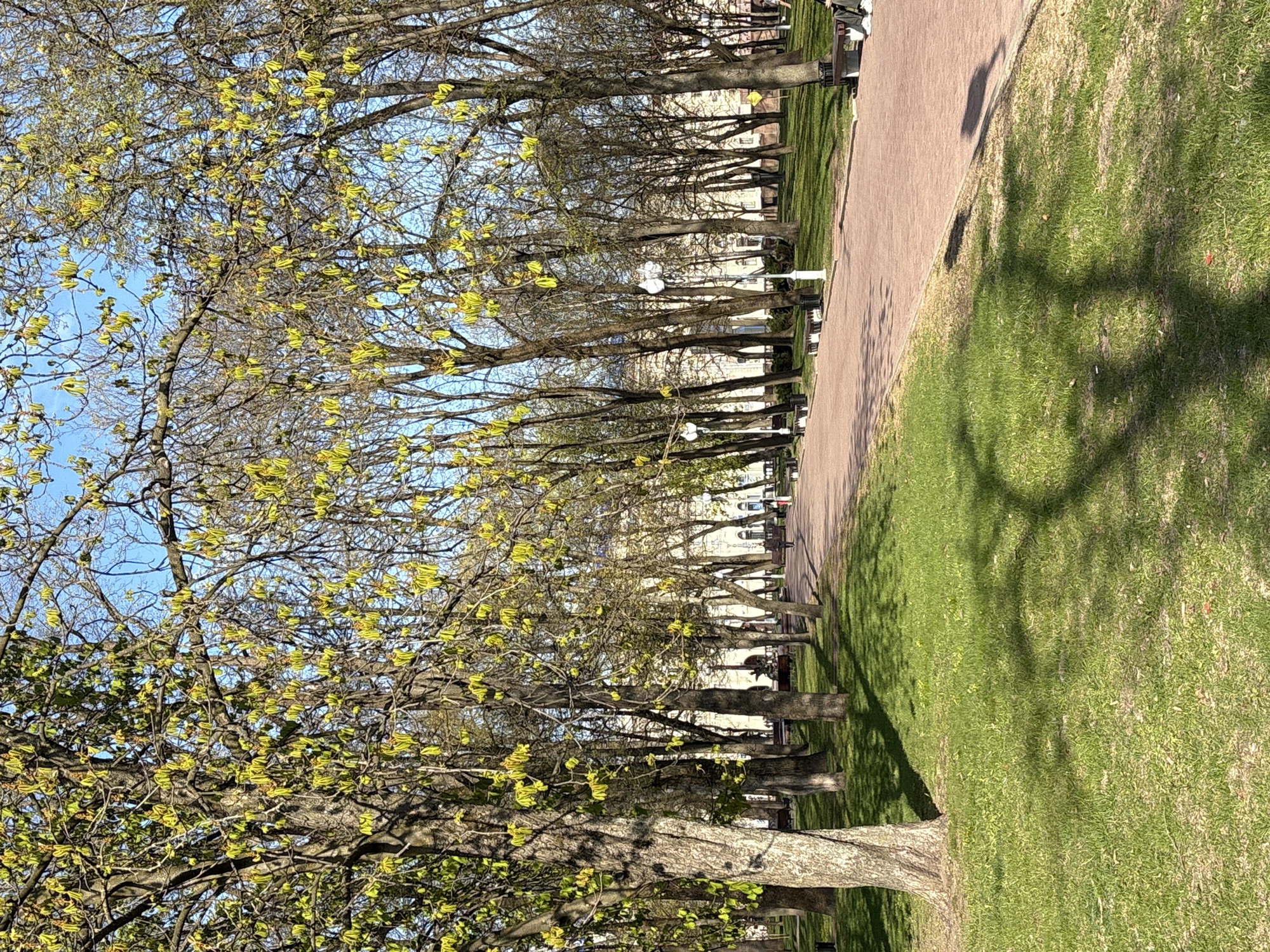 The image shows a park avenue in Minsk, Belarus, lined with trees in early spring bloom. A brick-colored walkway runs along the edge of a green lawn. Benches and lampposts are spaced along the walkway. Buildings are visible in the background. The sky is blue and partially visible through the branches. Shadows of the trees are cast on the grass.