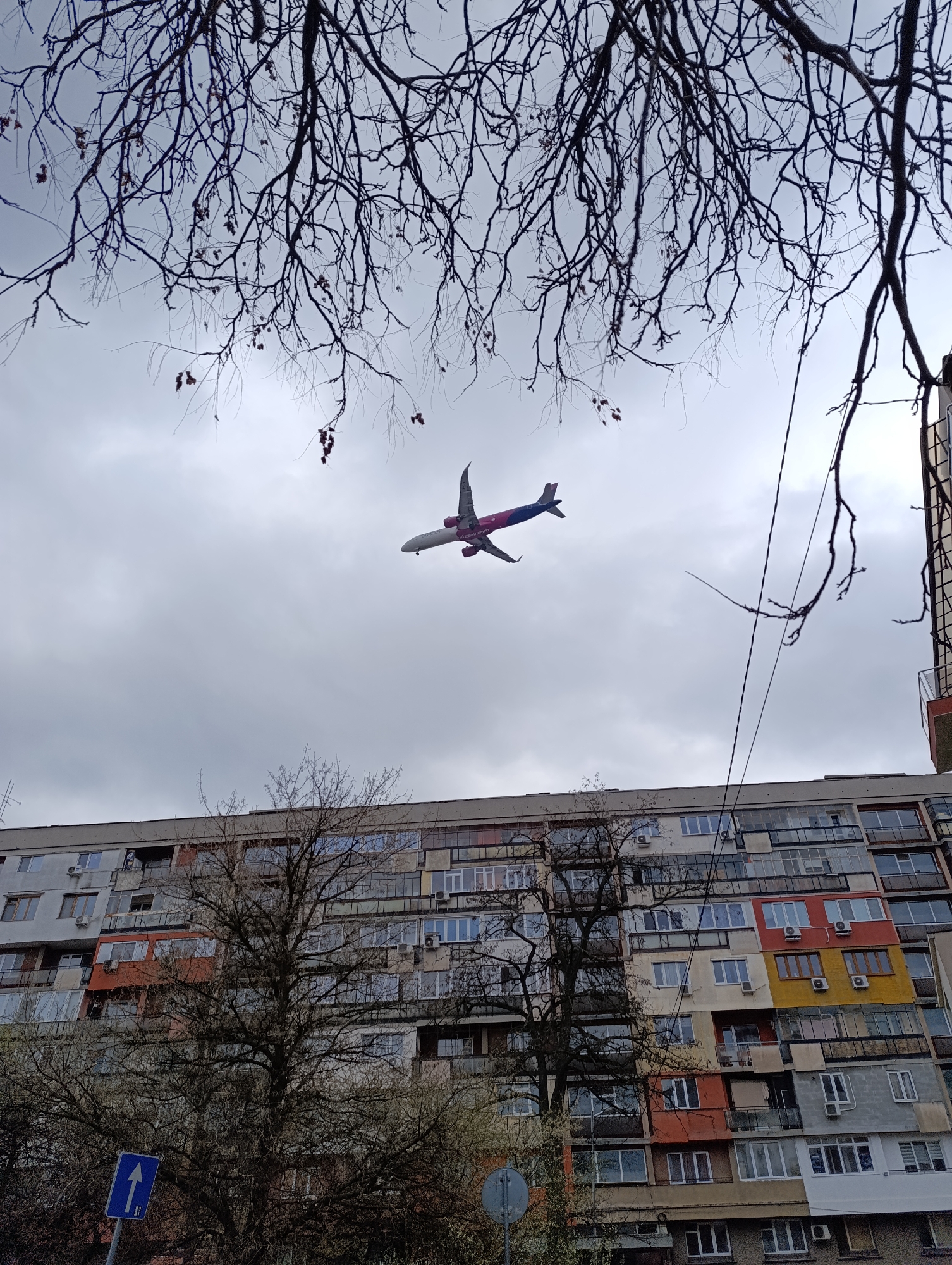 The image displays an urban environment in Sofia, Bulgaria, under an overcast, light grey sky. A Wizz Air passenger aircraft, identifiable by its white fuselage and purple/pink tail and engine accents, is captured in the upper-middle of the frame, flying at an upward angle from left to right. The aircraft appears to be on a flight path, likely approaching or departing Sofia Airport.
The upper portion of the frame is dominated by the silhouetted, bare branches of deciduous trees, with a few sparse reddish-brown leaves clinging to the twigs, suggesting late autumn or early spring. Several dark utility cables or wires are visible on the right side, extending from the upper right corner downwards.
The lower half of the image features a large, multi-story residential building, typical of post-socialist era apartment blocks. Its facade presents a mosaic of colors (white, beige, orange, red, yellow, grey) across various balconies and wall sections, indicating individual modifications or renovations to units. Numerous windows, glass-enclosed balconies, and external air conditioning units are present across the building's exterior. A large, bare tree stands directly in front of the building, partially obscuring its lower floors. At ground level, a blue rectangular street sign with a white upward arrow is clearly visible, along with a partially obscured circular street sign. The scene is a residential area in Sofia, positioned beneath an active flight path.