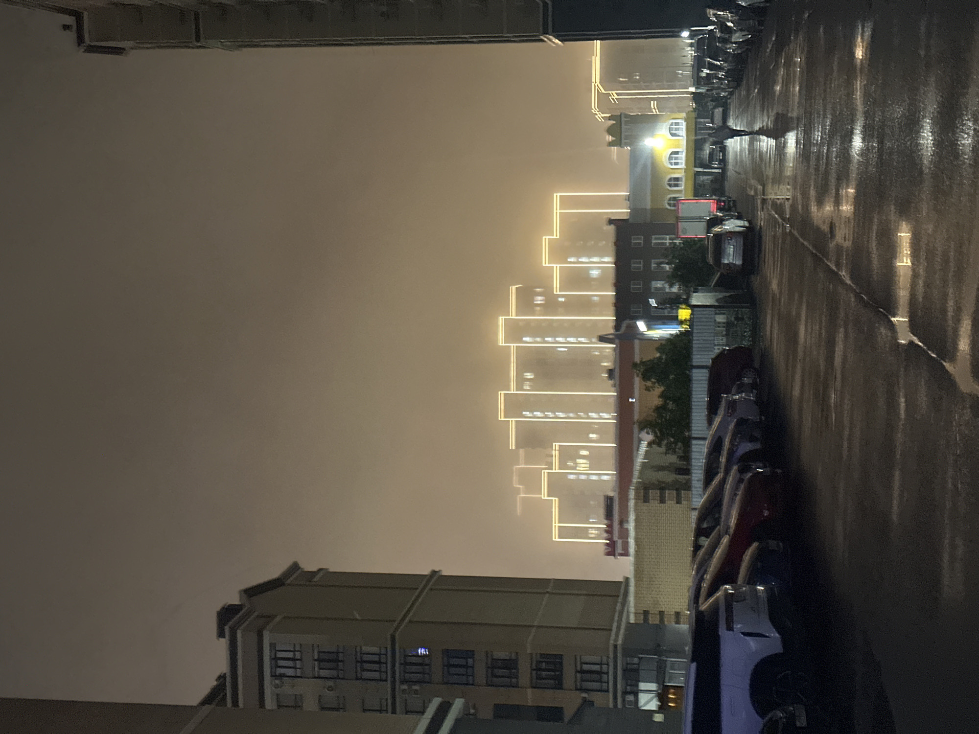 The image shows a street scene at night in Stavropol, Russia. A row of parked cars lines the right side of the frame along a wet, reflective street. In the background, illuminated buildings with distinct lines of light are visible through a hazy sky. The buildings have a multi-tiered design. The overall lighting is muted due to the weather conditions.