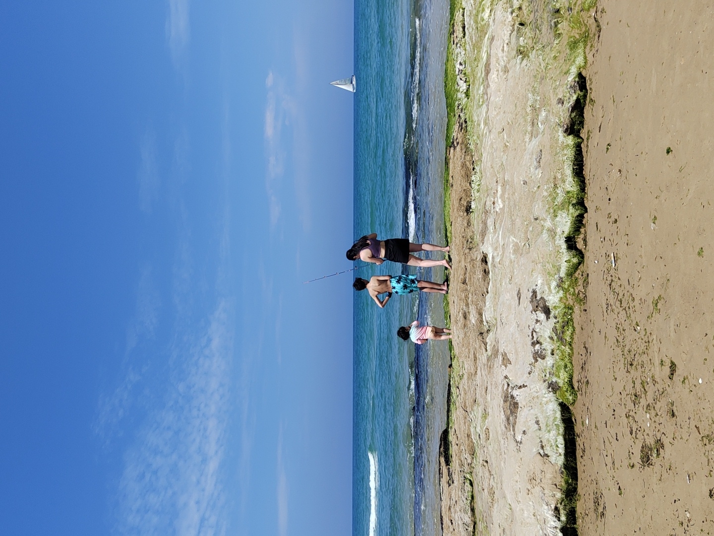 The image depicts a coastal scene. In the background is a clear blue sky with some faint clouds. The sea stretches towards the horizon with a small sailboat visible in the distance.
Three people are standing on a sandy shoreline. From left to right:
1. A taller person wearing dark-colored shorts and a top.
2. A person in patterned swimwear holding a fishing rod. The fishing rod is extending towards the sea.
3. A smaller person in light-colored swimwear.
The shoreline appears to be a mix of sand and vegetation. There are traces of seaweed along the shore. The sand transitions from a darker, possibly damp, area near the water to a lighter, drier sand further inland.
Given the location of Tel-Aviv, Israel, it's reasonable to assume the image was taken at one of Tel-Aviv's beaches.