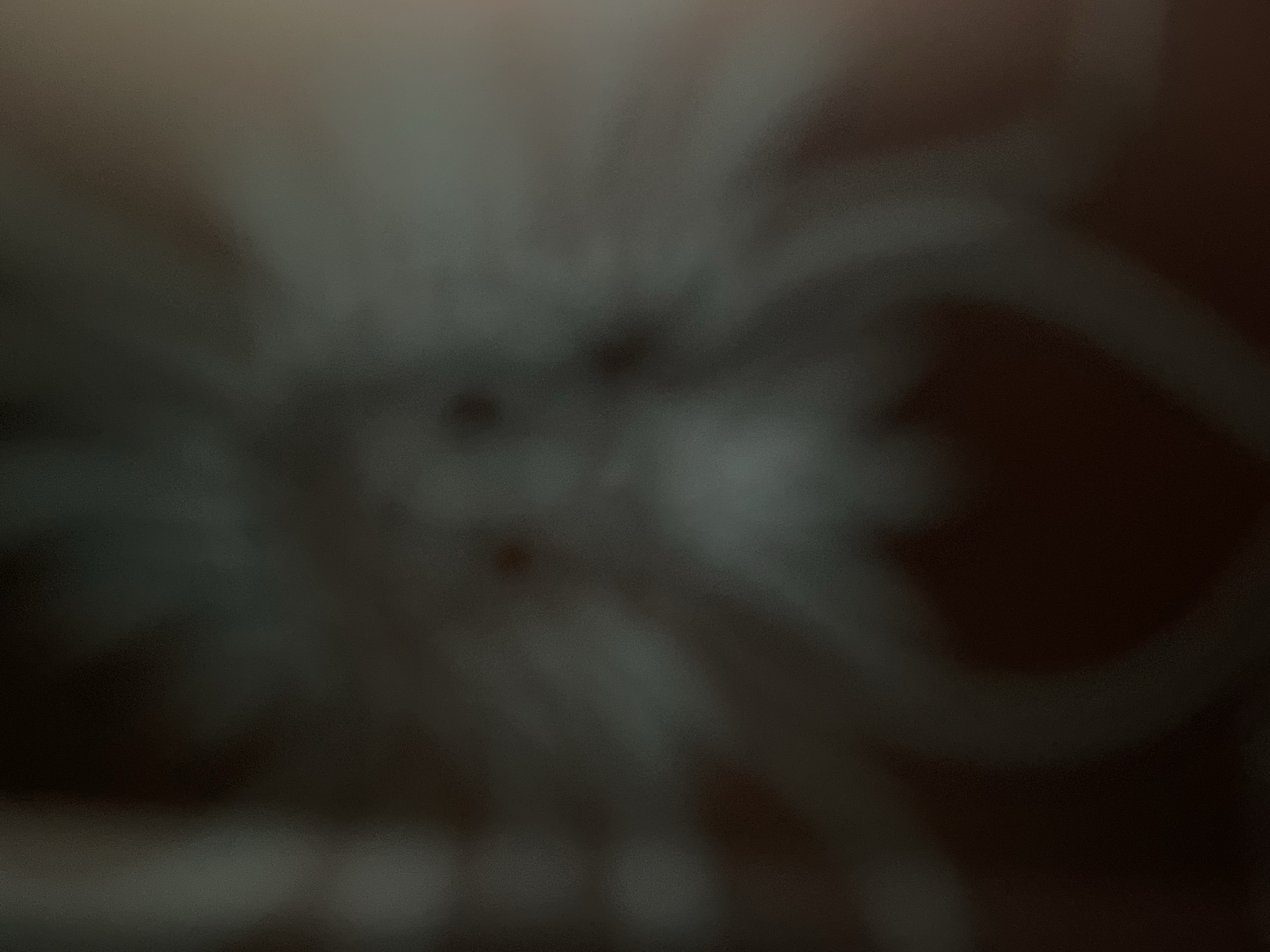 The image is a blurry, low-light photograph of what appears to be a sketch or drawing. The drawing is predominantly white or light gray against a dark background. In the center of the image, there are two dark, circular shapes that could be eyes, and above them, two more smaller dark shapes that could be nostrils or pupils. Extending outwards from the central area are thin, wispy lines that suggest radiating features, possibly resembling a sunburst or spokes. At the bottom of the drawing, a curved shape, possibly forming a heart or the base of a figure, is visible. The overall impression is that of a stylized face or abstract form. There is no discernible information within the image that places it in the city of Kołobrzeg, Poland, or any other specific location. The image quality makes it impossible to identify any specific objects, people, or actions.