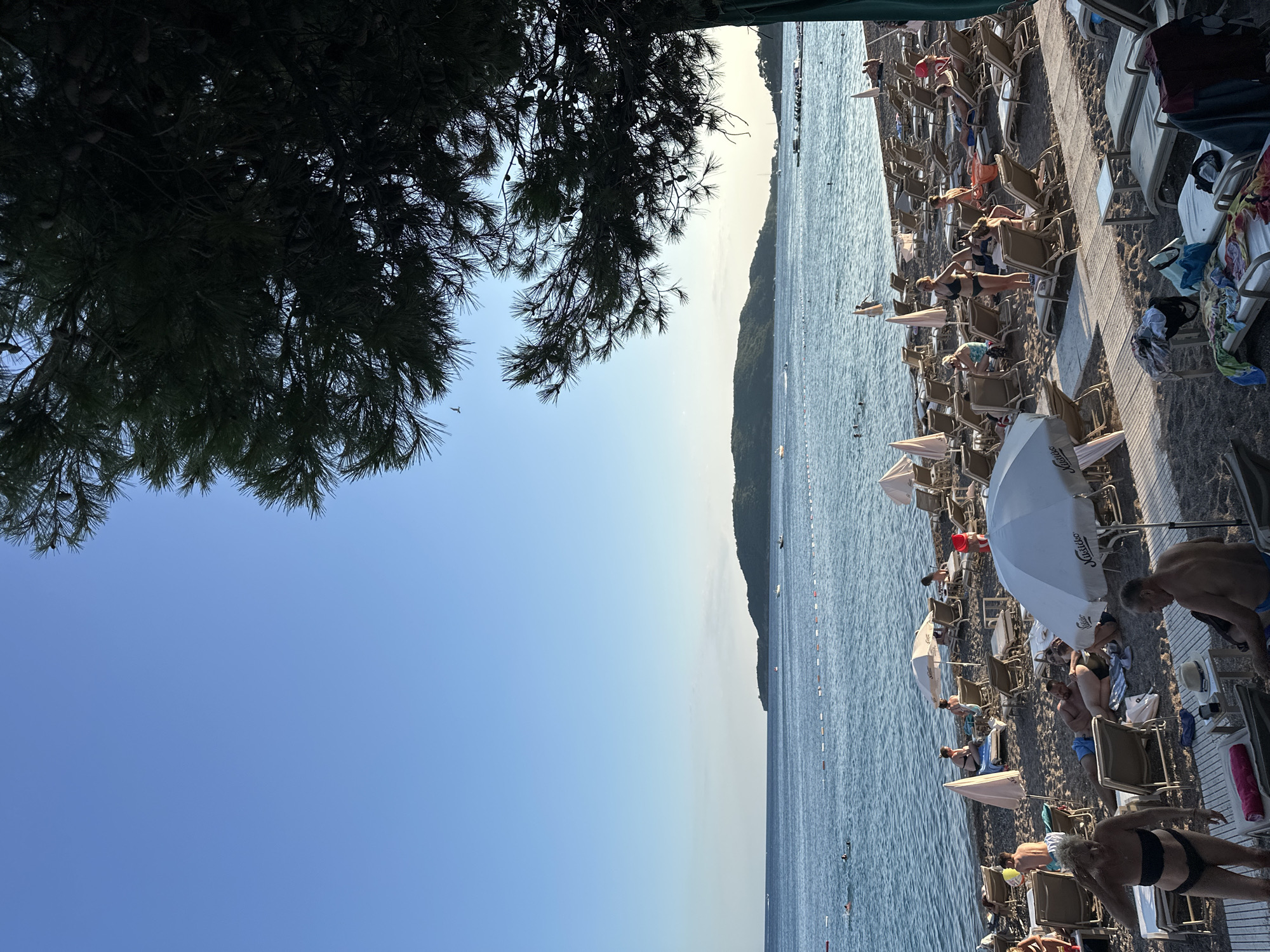 The image depicts a crowded beach in Boreti, Montenegro, during daylight hours. A dense arrangement of lounge chairs, many occupied by beachgoers, covers the sandy shore. Several umbrellas provide shade. The sea is visible in the background, with a few people swimming and some boats on the water. A forested island or peninsula forms the distant shoreline. The foreground is partially obscured by the dark silhouette of a large pine tree. The overall atmosphere suggests a popular tourist destination.