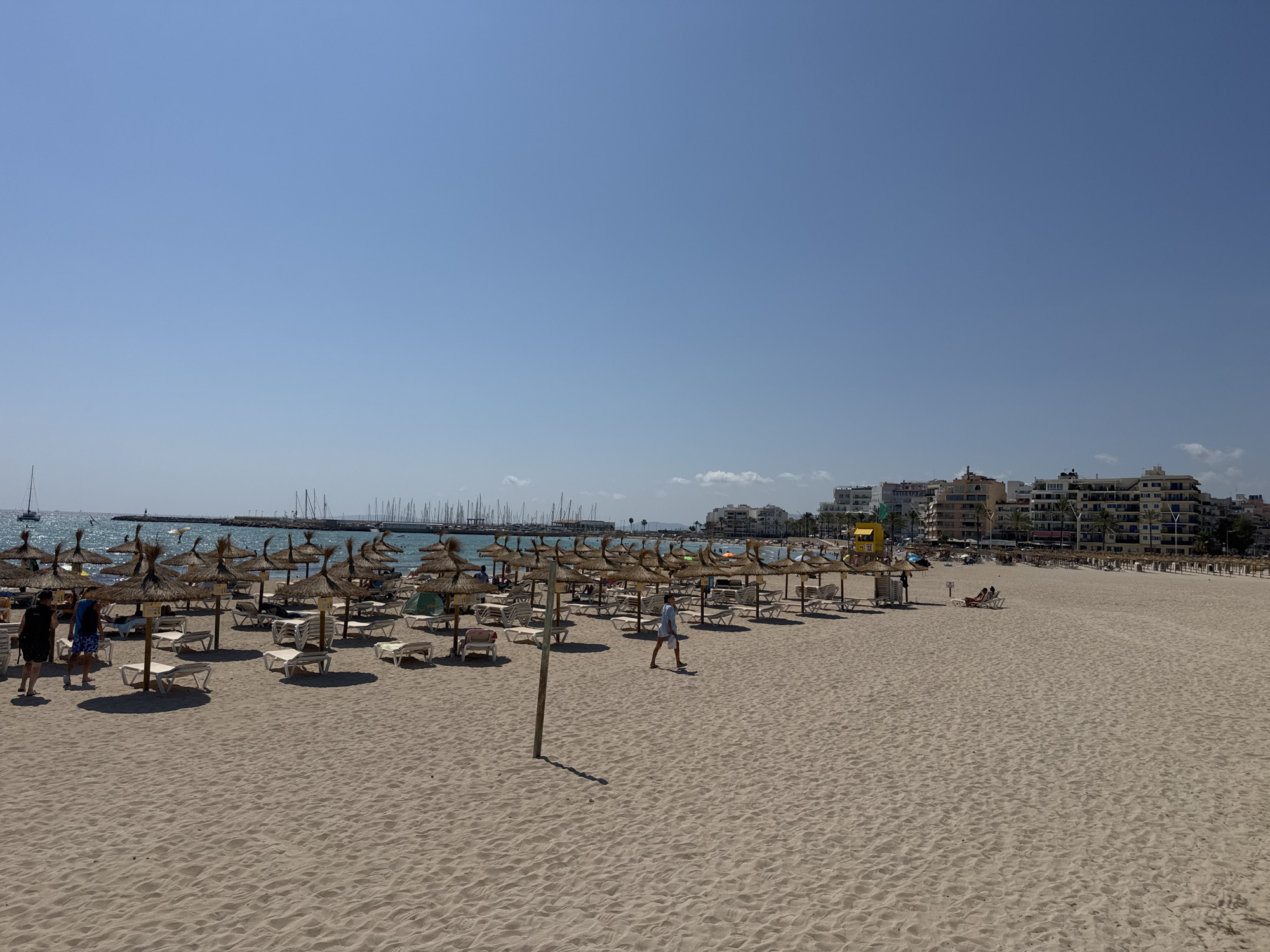 This image captures a wide view of a sandy beach in Palma de Mallorca, Spain, under a clear blue sky. Numerous thatched umbrellas and empty lounge chairs are set up on the sand, indicating a well-maintained tourist area. In the background, the Mediterranean Sea stretches out, dotted with sailboats and a distant harbor breakwater. Along the coastline, a strip of buildings, characteristic of a resort town, rises against the horizon. A few people are visible walking on the beach or relaxing on lounge chairs. The sand itself is light brown and shows textured patterns from the wind and human activity. The overall scene suggests a bright, sunny day at a popular beach destination.