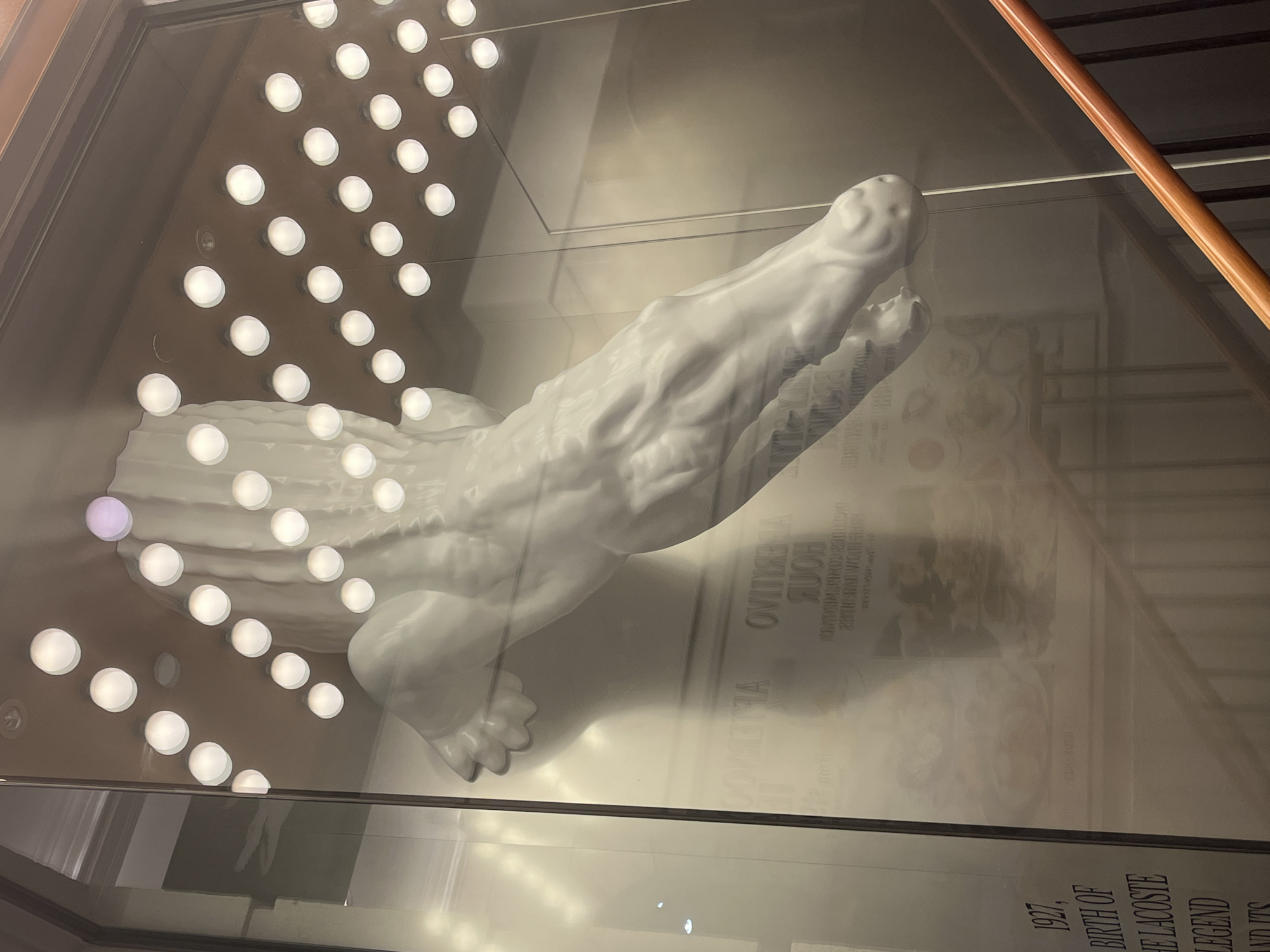 A white crocodile statue is displayed behind glass under lights. A sign behind the statue mentions "1927, Birth of the Lacoste Legend". The statue is likely in a retail display, but further location details cannot be determined.