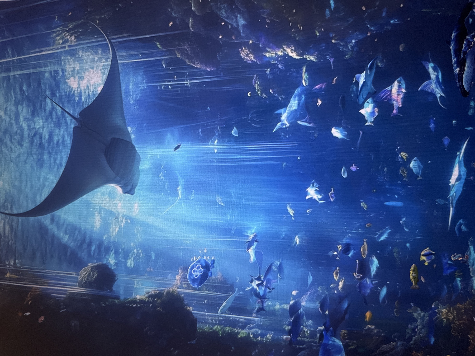 An underwater scene depicts a large manta ray swimming in the upper portion of the frame. Below it, various species of fish, including what appear to be stingrays, sharks, and smaller, brightly colored fish, populate the blue-hued water. A luminous blue jellyfish floats near the top left. The environment is characterized by rocky coral formations and shafts of light penetrating from above, creating a dappled effect. The scene is likely an aquarium exhibit, given the contained nature of the environment and the diverse collection of marine life.