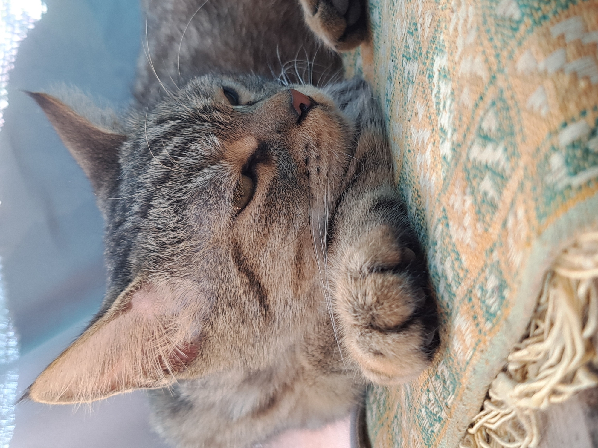 A close-up, low-angle shot shows a tabby cat resting on a woven mat with frayed tassels. The cat's head is turned to the right, with its eyes partially closed. Its fur is a mix of gray, brown, and black stripes. One of its paws is visible resting on the mat. The background is out of focus, showing a light blue and white textured surface. The image was taken outdoors, likely in a residential area of Vypasne, Ukraine, as suggested by the natural lighting and the domestic animal subject.