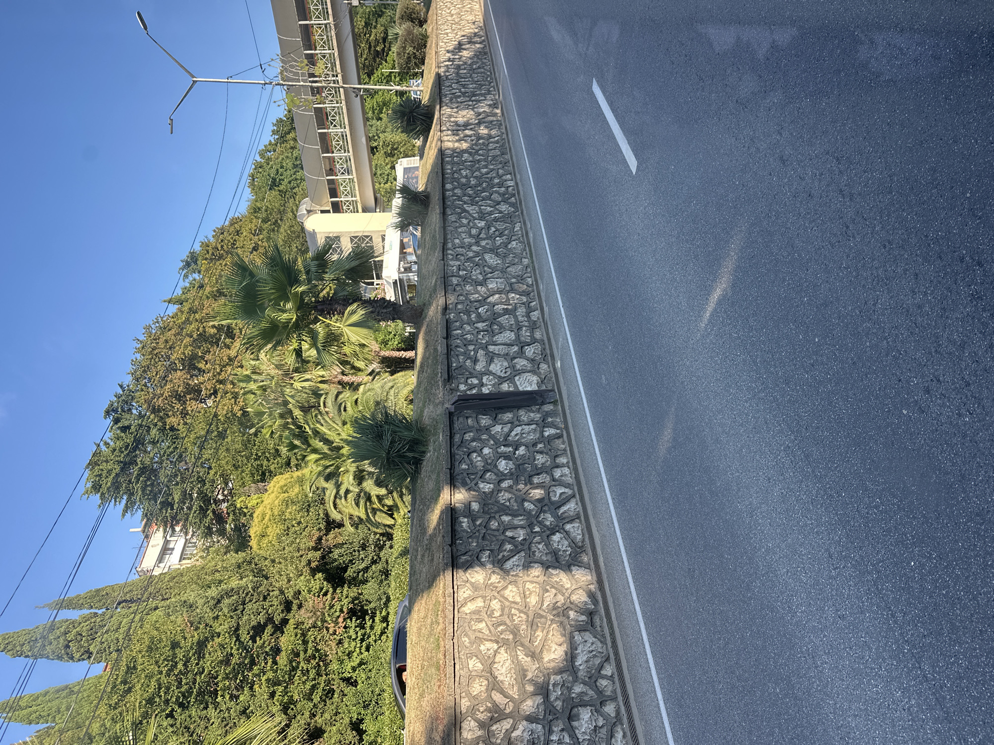 A street scene in Sochi, Russia, features a road with white lane markings leading into the distance. To the left of the road is a textured stone wall with a dark border at the top. Behind the wall, a grassy slope is covered with lush green trees and palm trees. A multi-story building is visible through the trees on the hillside. A pedestrian bridge with a white railing and cross-braced supports spans across the scene in the upper right quadrant, supported by a beige pillar. A modern street lamp stands on the right side of the bridge. The sky is clear and blue. The overall impression is a sunny day in a developed urban area surrounded by abundant vegetation.