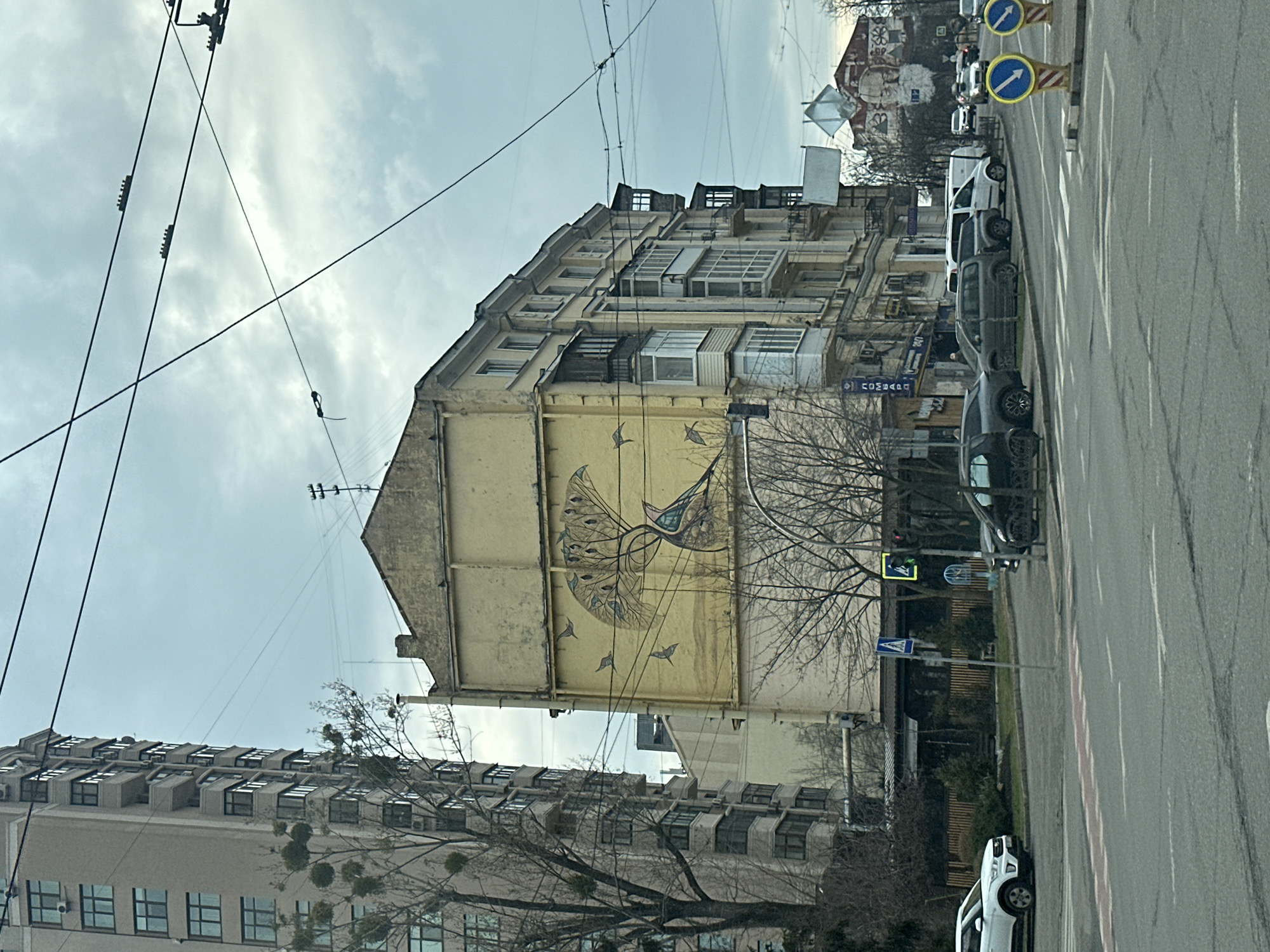 The image shows a street scene in Kyiv, Ukraine. The view is from a street level perspective, looking at a multi-story yellow building with a large mural of a bird on its side. Several other buildings are visible, including a tall residential building on the left. A street runs alongside the building, with parked cars lining the right side. Street signs and pedestrian crossing signals are present. Power lines crisscross above the buildings. The sky is overcast with a gray color. Bare trees are scattered throughout the scene.
