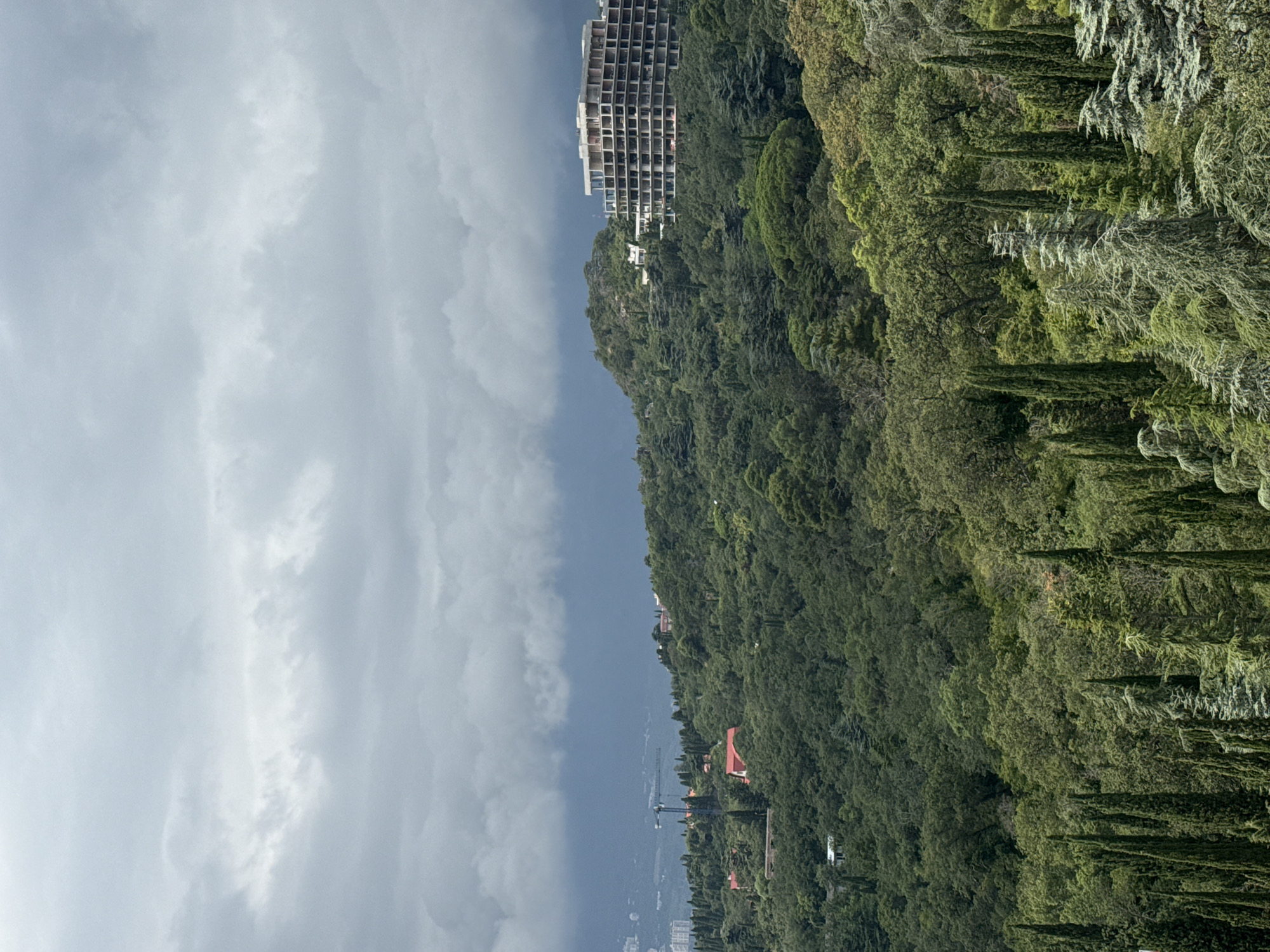 This is a landscape photograph taken in the Massandrovsky settlement council, Ukraine, depicting a heavily wooded hillside under a cloudy sky. In the foreground, a dense forest of various trees, including tall, slender cypress-like evergreens, dominates the scene.
Further up the hill, amidst the greenery, several structures are visible. On the left side of the image, a construction crane is present, indicating ongoing development. There are also some residential buildings with red roofs scattered throughout the forest.
Most prominently, on a hilltop in the middle ground, is a large, unfinished multi-story building. Its concrete structure is exposed, showing multiple floors with open balconies or windows. This building appears to be under construction and is a significant feature of the landscape.
In the background, a hazy city skyline can be seen on the horizon, with the sea or a large body of water beyond it. The sky is overcast with thick, grey clouds, suggesting potentially gloomy weather. The overall impression is a blend of natural landscape and human development, with a partially built structure standing out against the lush forest.