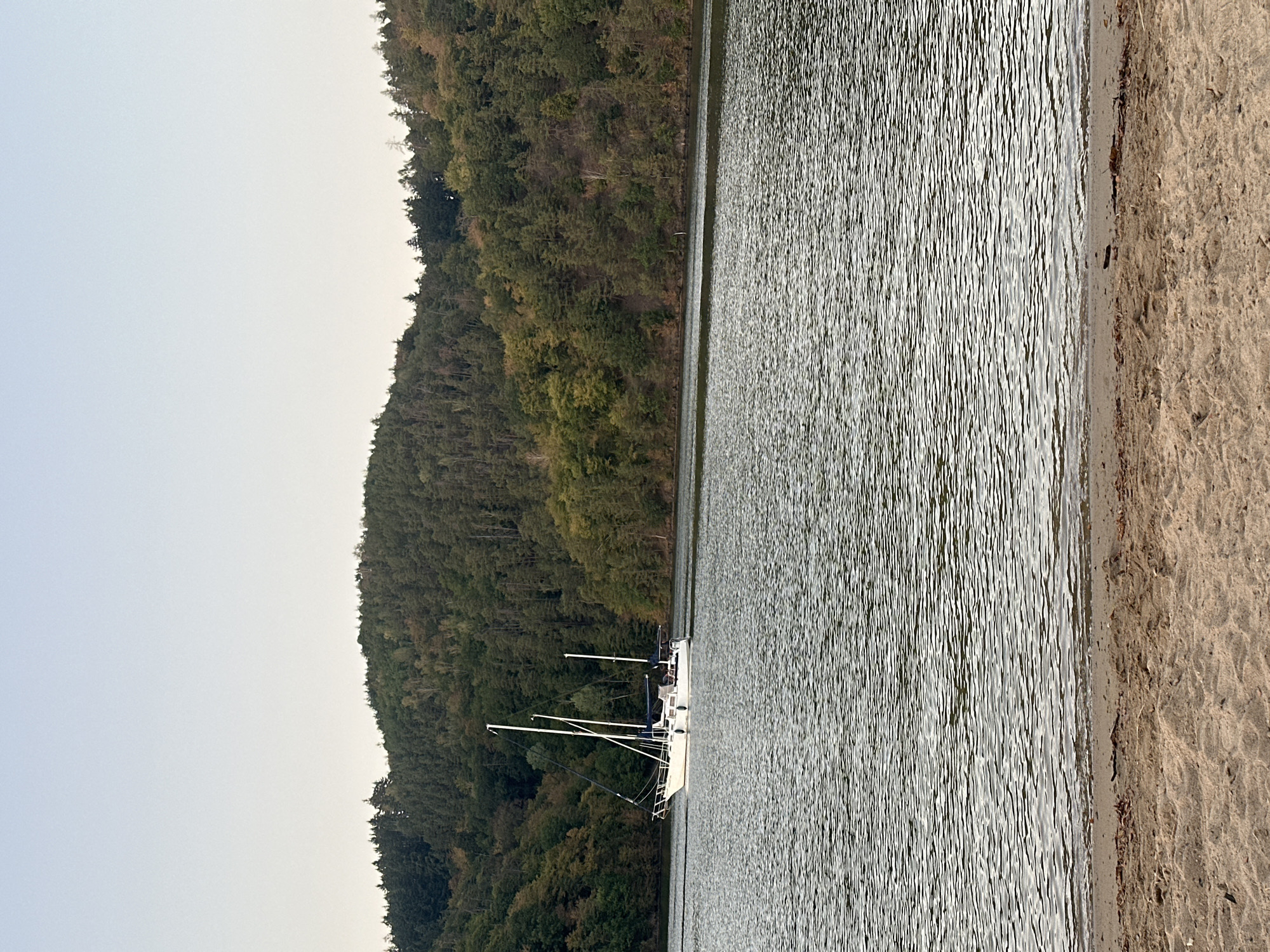 The image depicts a serene lake scene with a white sailboat navigating the water. The sailboat, positioned in the middle ground to the left of the frame, has its masts and rigging clearly visible. The water is gently rippled, reflecting the overcast sky and the surrounding lush green forest that covers the undulating hills in the background. The foreground features a sandy beach with some scattered dried leaves and debris. The overall atmosphere is peaceful and natural, suggesting a remote or natural location. The sky is a pale, uniform blue, indicating it might be early morning or late afternoon.