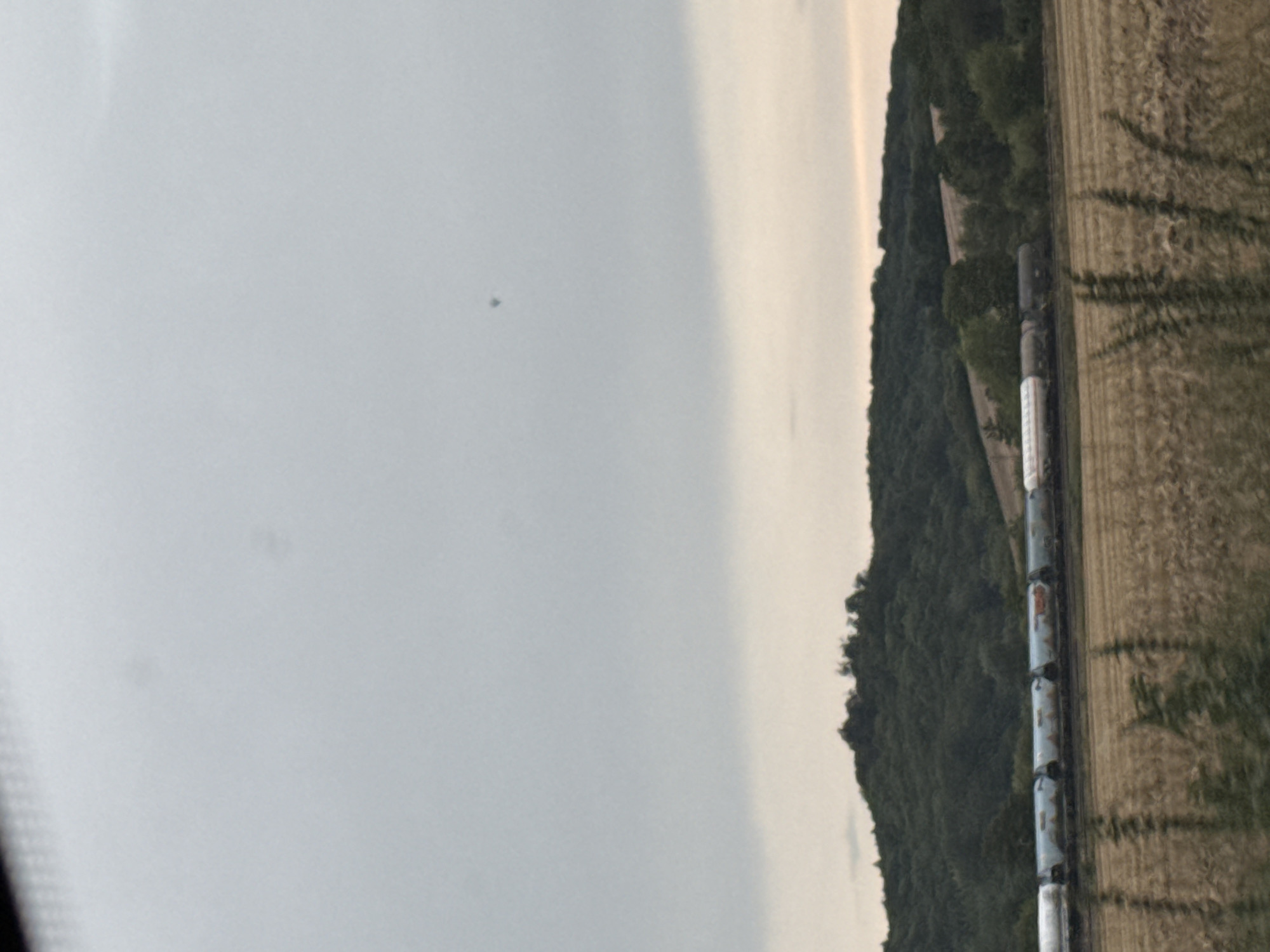 The image depicts a landscape scene with a train and a hill in the background. The sky is overcast with a pale, washed-out light, suggesting either early morning or late evening. There are two small, dark spots in the sky, one of which appears to be a hot air balloon. The train consists of several tank cars, which are light-colored with some visible markings. It is moving across a field of dry, golden grass. Behind the field, a dense, dark green forest covers a rolling hill. The overall impression is one of a rural setting, possibly in the vicinity of Ellrich, Germany, given the provided context.