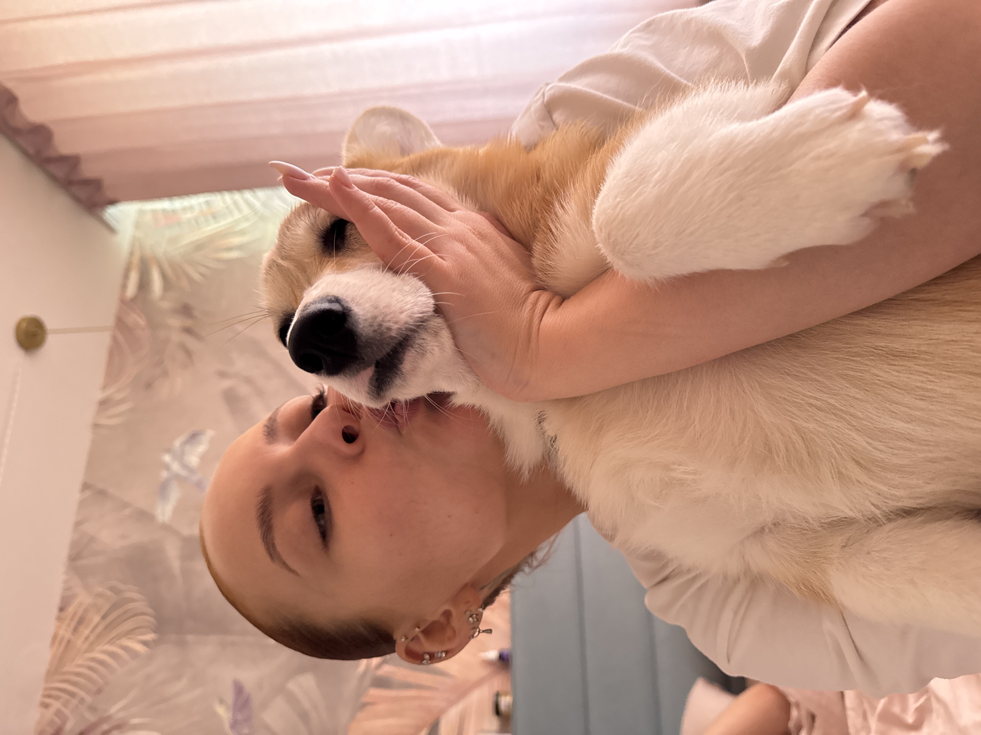 A light-skinned person is holding a small, tan and white corgi dog close to their face. The person is fair-skinned with short blonde hair and is wearing a white shirt. The person's left hand is on the dog's face. The person's face is close to the dog's. The background includes a wall and what looks like a window. The location is Chaikovsky, Russia.