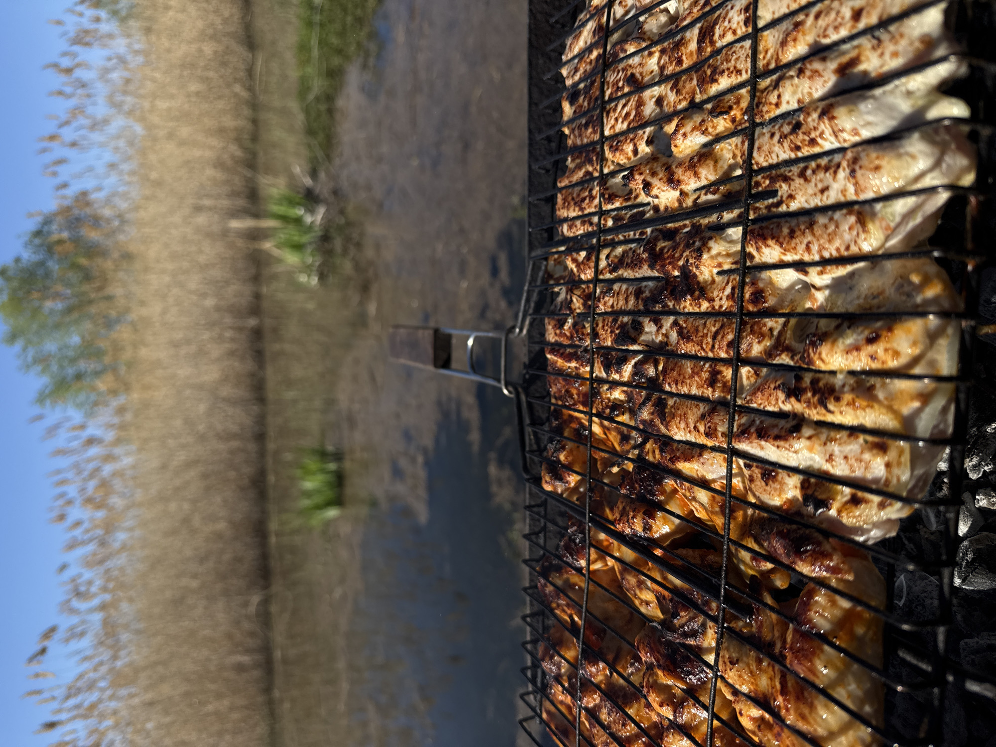 A grill containing food is positioned in front of a wetland landscape under a blue sky. The grill is in the foreground, filled with food items that appear to be cooked or grilled. Behind the grill, the landscape features a body of water, possibly a lake or marsh, surrounded by tall grasses or reeds. A tree is visible on the left. The location is Unknown, Unknown.