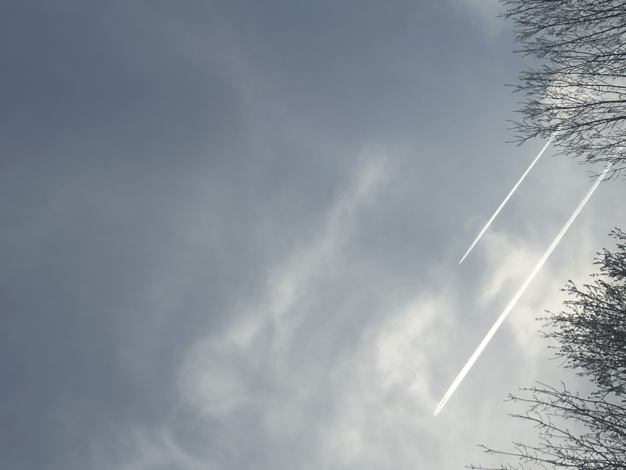 The image shows a gray sky with light clouds. Two contrails from airplanes are visible, extending from the center towards the upper right and lower right of the frame. Branches of trees, without leaves, are present on the right side of the image, partially obscuring the contrails. Location: Unknown, Unknown.