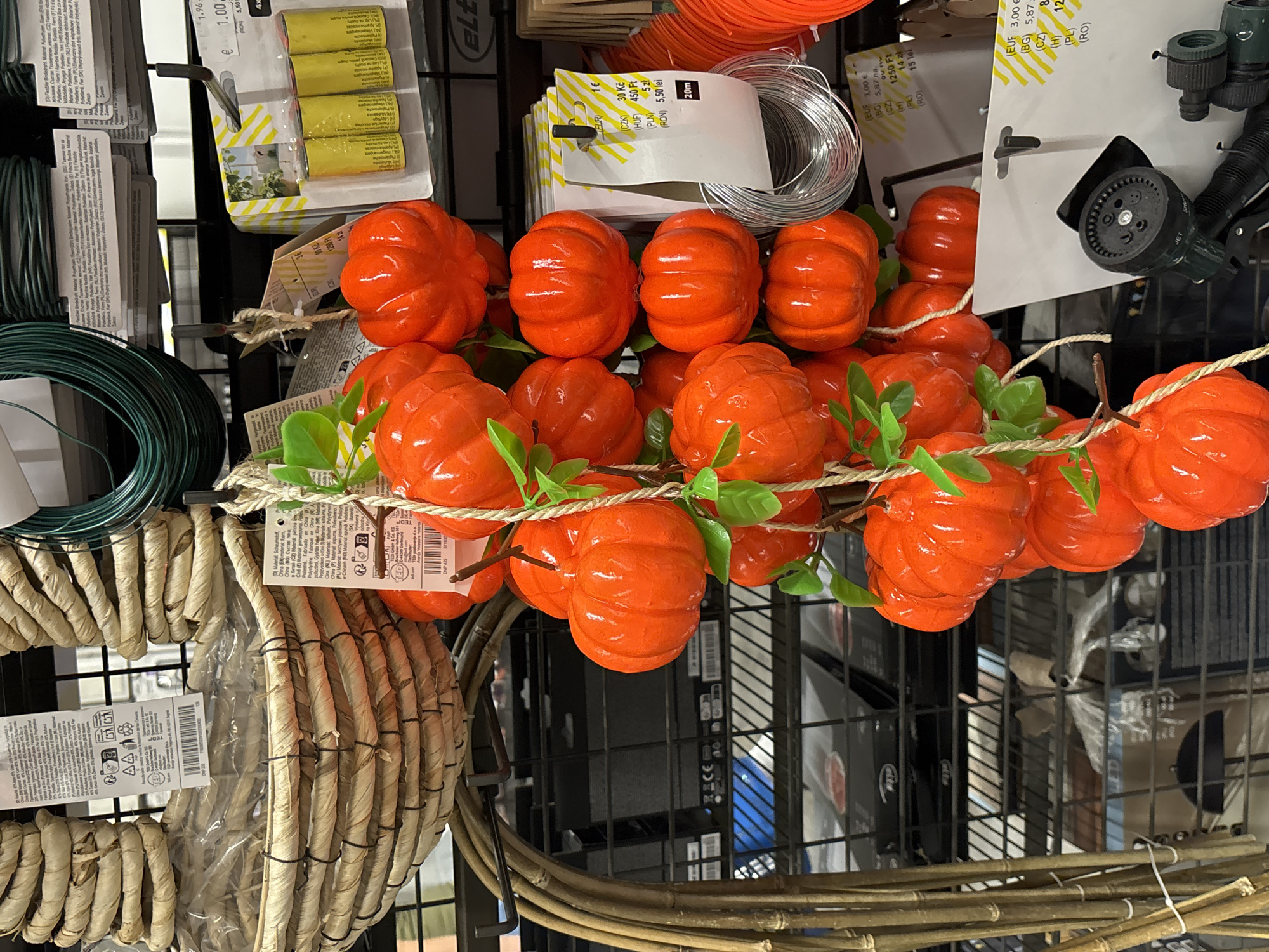 The image is a close-up of decorative orange pumpkins hanging from a display in a store. The pumpkins are small, round, and have a slightly ribbed texture, with green artificial leaves attached. They are suspended by a rough, beige string.
In the background, various items are visible on shelves and racks. To the left, there's a woven basket or wreath made of dried grass or reeds, also hanging. Above the pumpkins, there are rolls of green wire. To the right and behind the pumpkins, there are packages of yellow batteries, spools of silver wire, and some price tags. The overall environment appears to be a retail setting, likely a home goods or craft store. The lighting is bright, suggesting indoor illumination.
The text on some of the price tags and labels is visible. One tag in the upper right corner shows "1.96 EUR". Another tag near the silver wire has prices listed in multiple currencies, including EUR, CZK, HUF, PLN, and RON, indicating international pricing.
Based on the presence of price tags with Bulgarian Leva (BGN) and the general context of retail displays, this image was likely taken in a store in Varna, Bulgaria.