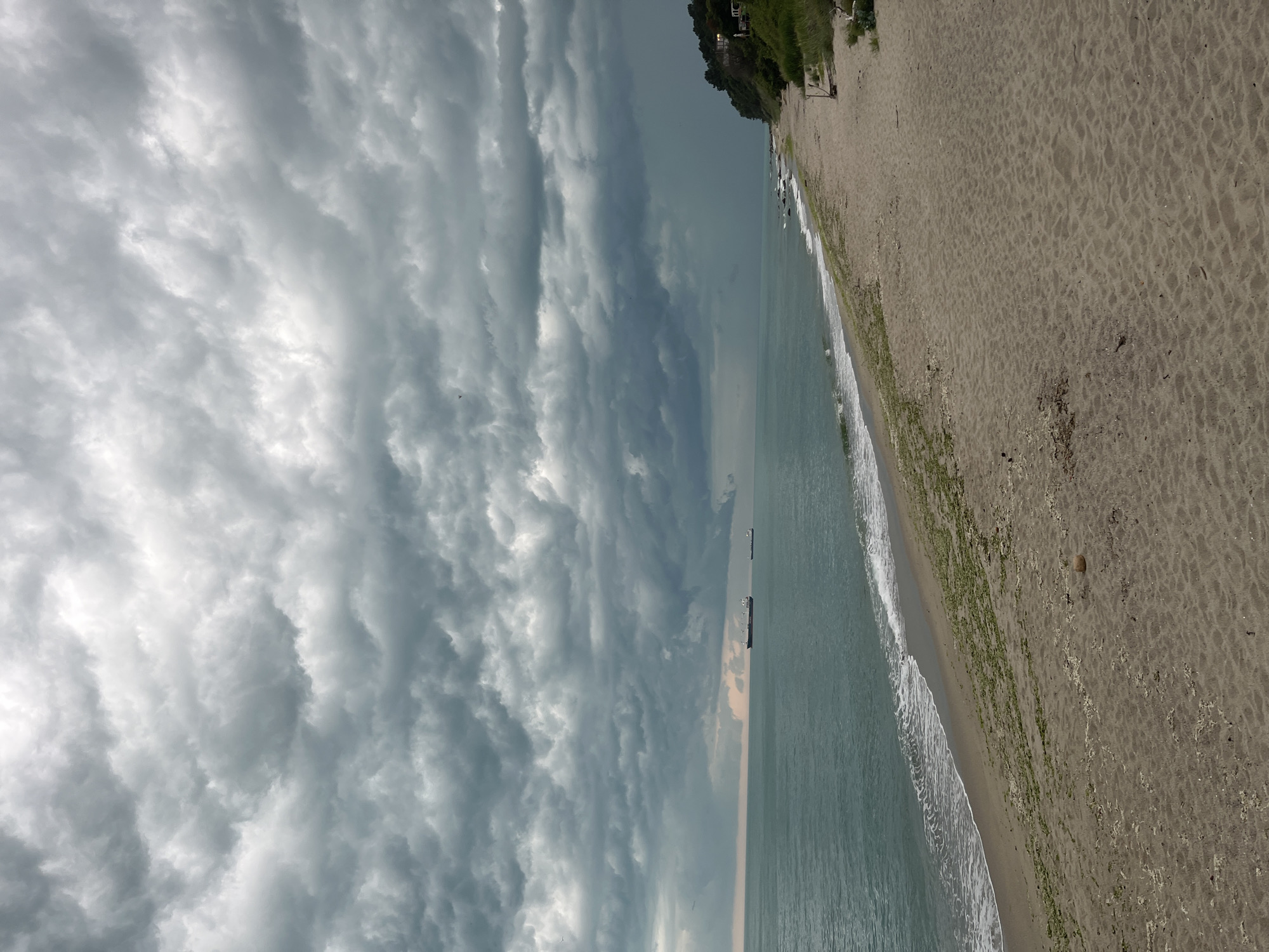 A vast coastal landscape under an overcast sky depicts a wide sandy beach, the sea, and distant land. The image, oriented vertically, shows the sky occupying the left side, the sea in the middle, and the beach on the right.
The upper portion of the frame is dominated by a dramatic, heavily clouded sky. Dense, textured grey and white clouds stretch across, forming intricate patterns that suggest an impending weather change or an already overcast day. Patches of brighter light indicate the sun is diffused behind the cloud cover.
A distinct horizon separates the expansive sky from the calm sea, which is a muted greenish-blue hue. Gentle, white-capped waves consistently break along the shoreline. In the distance, on the sea, several dark, elongated forms resembling ships or barges are visible, hinting at maritime activity.
The right side of the image features a broad, light-brown sandy beach that gradually curves into the distance. The sand exhibits fine textures, possibly from wind or water patterns. A strip of greenish vegetation, likely seaweed or hardy coastal plants, runs along the edge where the waves meet the sand. Further along the beach, on a higher ground or bluff, dense green foliage and glimpses of structures, possibly houses, are visible nestled amongst the trees. The overall impression is one of a serene yet powerful natural environment, characteristic of a coastal area like Varna, Bulgaria, on a cloudy day. There is no visible text.