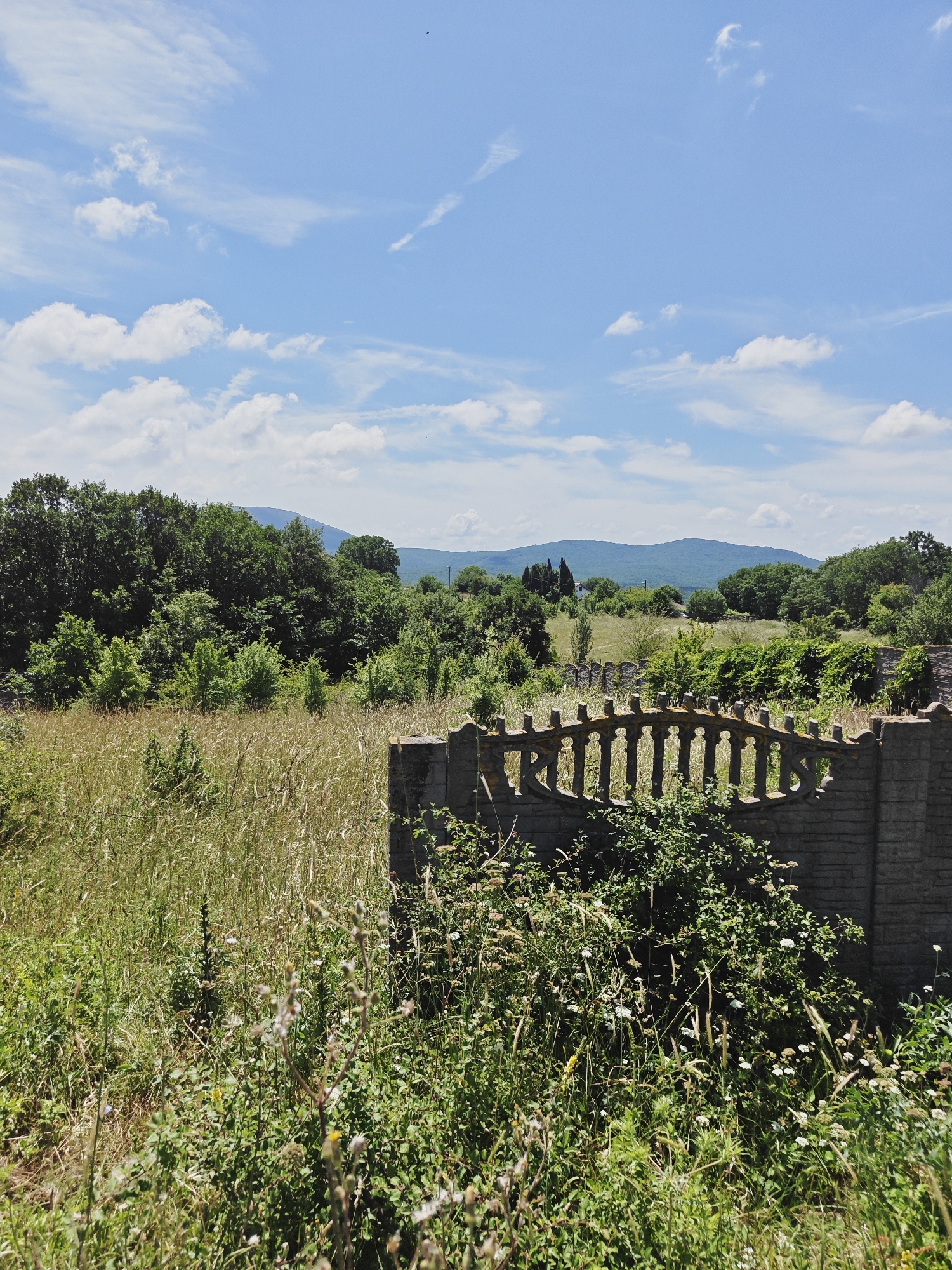 The image depicts an outdoor scene with a view of rolling hills and a tree line under a bright blue sky with scattered white clouds. In the foreground, there is a stone fence with decorative cutouts, partially obscured by lush green vegetation and tall grasses. The fence appears weathered and aged. Beyond the fence, a field of dry, golden grass stretches towards a dense forest. The trees are predominantly green, with some showing variation in shade, suggesting a mix of species or different stages of growth. In the distance, the landscape transitions to gentler slopes covered in a verdant tapestry of trees. A faint hint of buildings can be seen nestled among the trees in the mid-ground. The overall impression is of a rural or semi-rural environment in a temperate climate, likely during daytime. The specific location in Izgrev, Bulgaria, is indicated by the prompt, suggesting a setting within this region. There are no people or animals visible in the frame.
