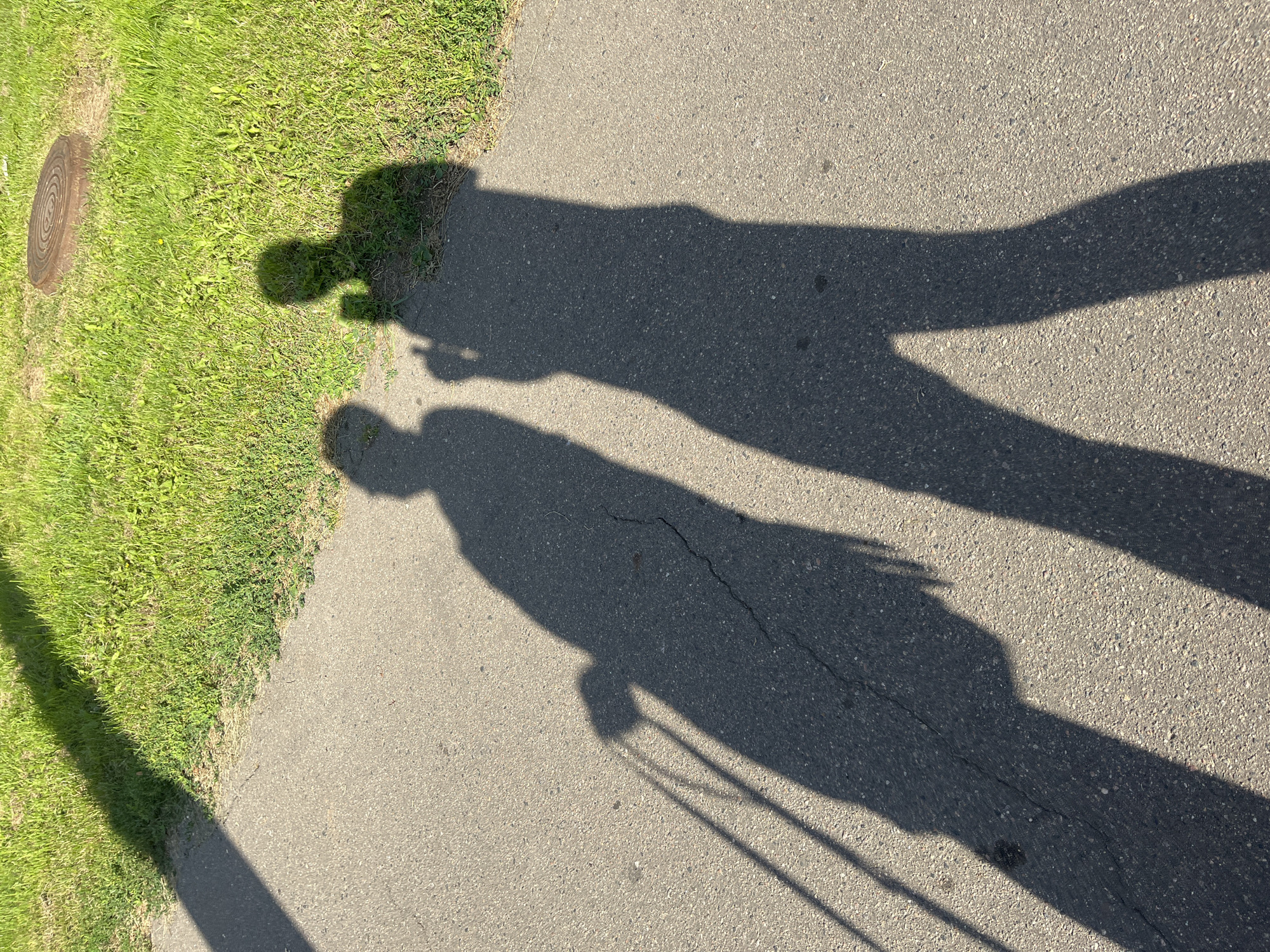 This is an outdoor, ground-level, eye-level shot of two people's shadows cast on a paved path next to a grassy area. The shadow on the left belongs to a person pulling a suitcase. The shadow on the right belongs to a person holding a smartphone. The paved path appears to be asphalt with some cracks. The grassy area is well-maintained and appears to be a park or public space. There is a manhole cover visible in the grassy area in the upper right corner of the image. The lighting suggests a sunny day, with the shadows indicating the sun is low in the sky. There is no visible information in the image to determine the specific location within the city of Minsk, Belarus.