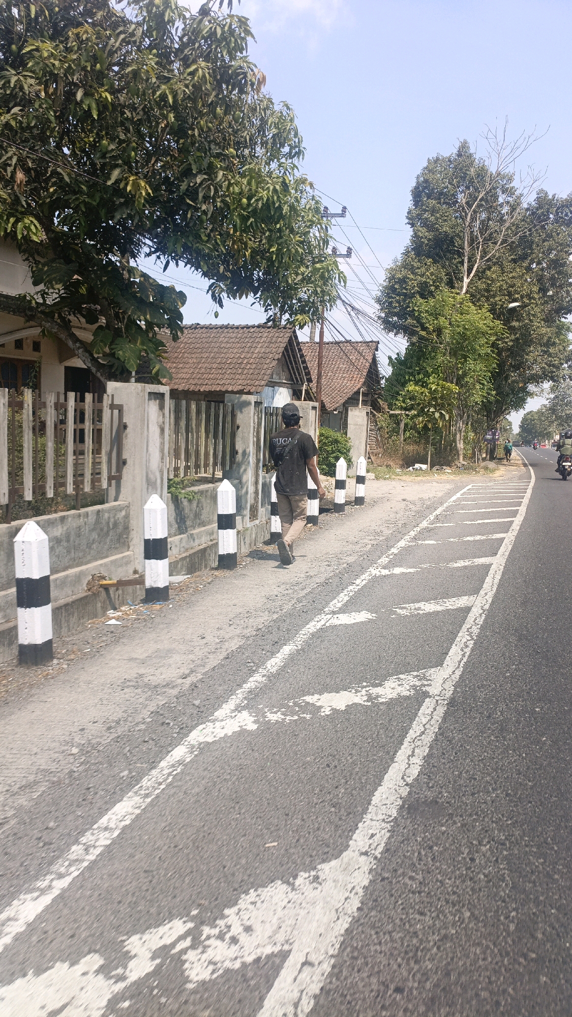 In Penggung, Indonesia, a man wearing a black t-shirt and a baseball cap walks away from the camera along a dusty sidewalk beside a road. The sidewalk is lined with black and white bollards. Behind the sidewalk, a concrete fence separates the walkway from a residential area with houses featuring tiled roofs. A large, leafy tree with green fruit grows prominently over the fence, partially obscuring the houses and power lines. The road has white painted markings, and two motorcycles are visible in the distance on the right side of the image. The sky is clear and blue, and the scene appears to be under bright sunlight.