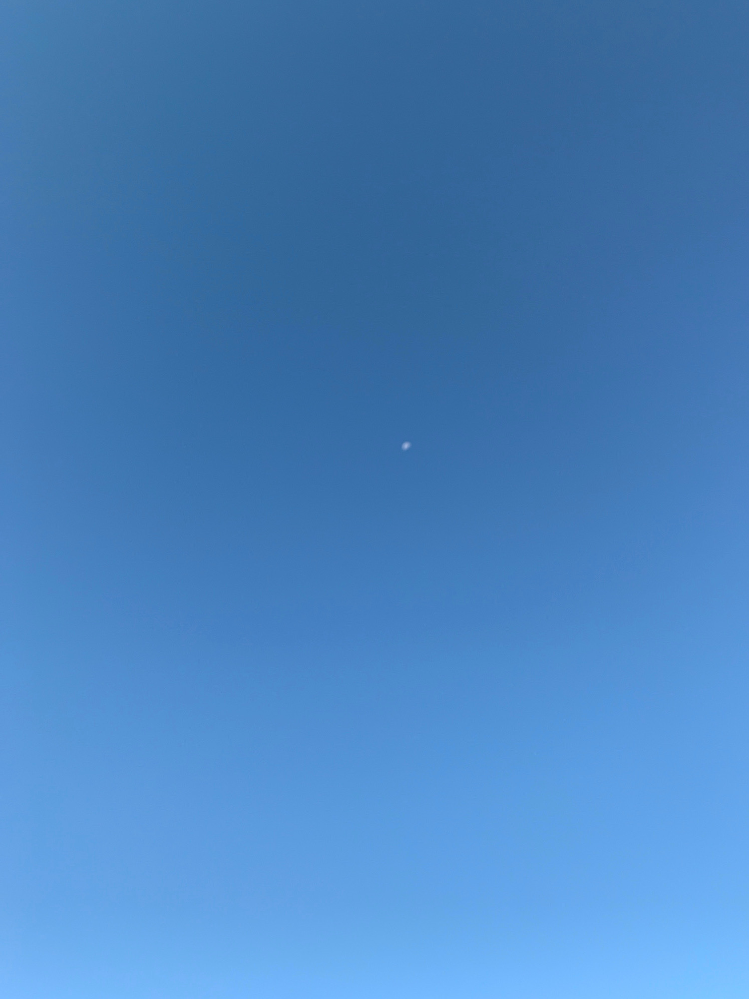 The image is a photograph of a clear blue sky with a small, pale object visible in the upper center. The object appears to be the moon, or possibly a planet, but it is too small and indistinct to be identified with certainty. The sky is uniformly blue and shows no clouds or other atmospheric phenomena. The photograph was taken outdoors, likely during the daytime, as the sky is bright. There is no visible indication of the city of Comacchio, Italy, or any urban features.