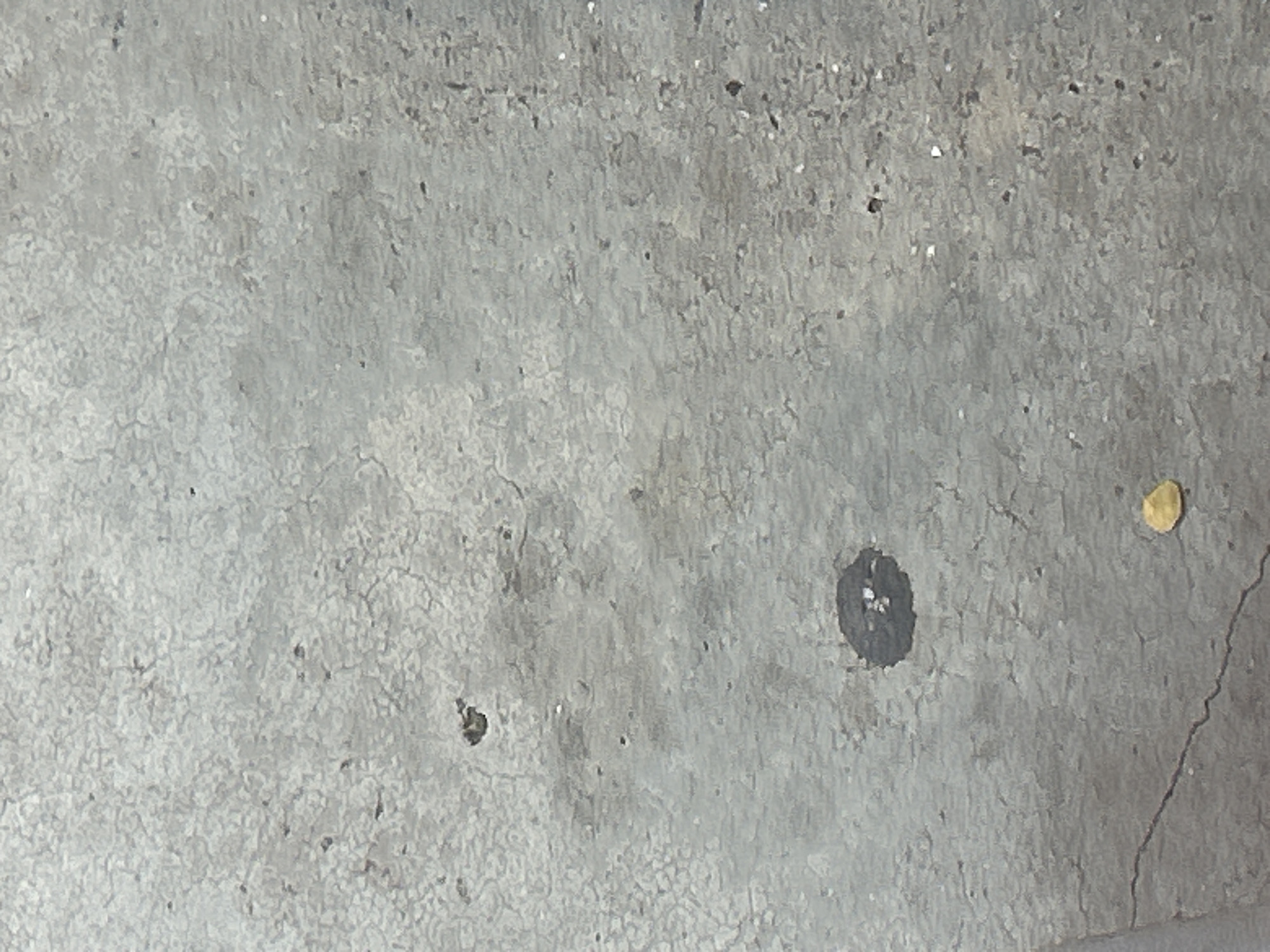 The image shows a close-up, overhead view of a cracked, grey concrete surface. There are several small dark specks and a larger dark, circular stain with some lighter flecks in the center. A small, golden-yellow leaf is visible in the lower right portion of the frame. The scene appears to be outdoors, on a ground surface, but provides no specific environmental context or identifiable landmarks to determine its location within Santa Ana, Venezuela.