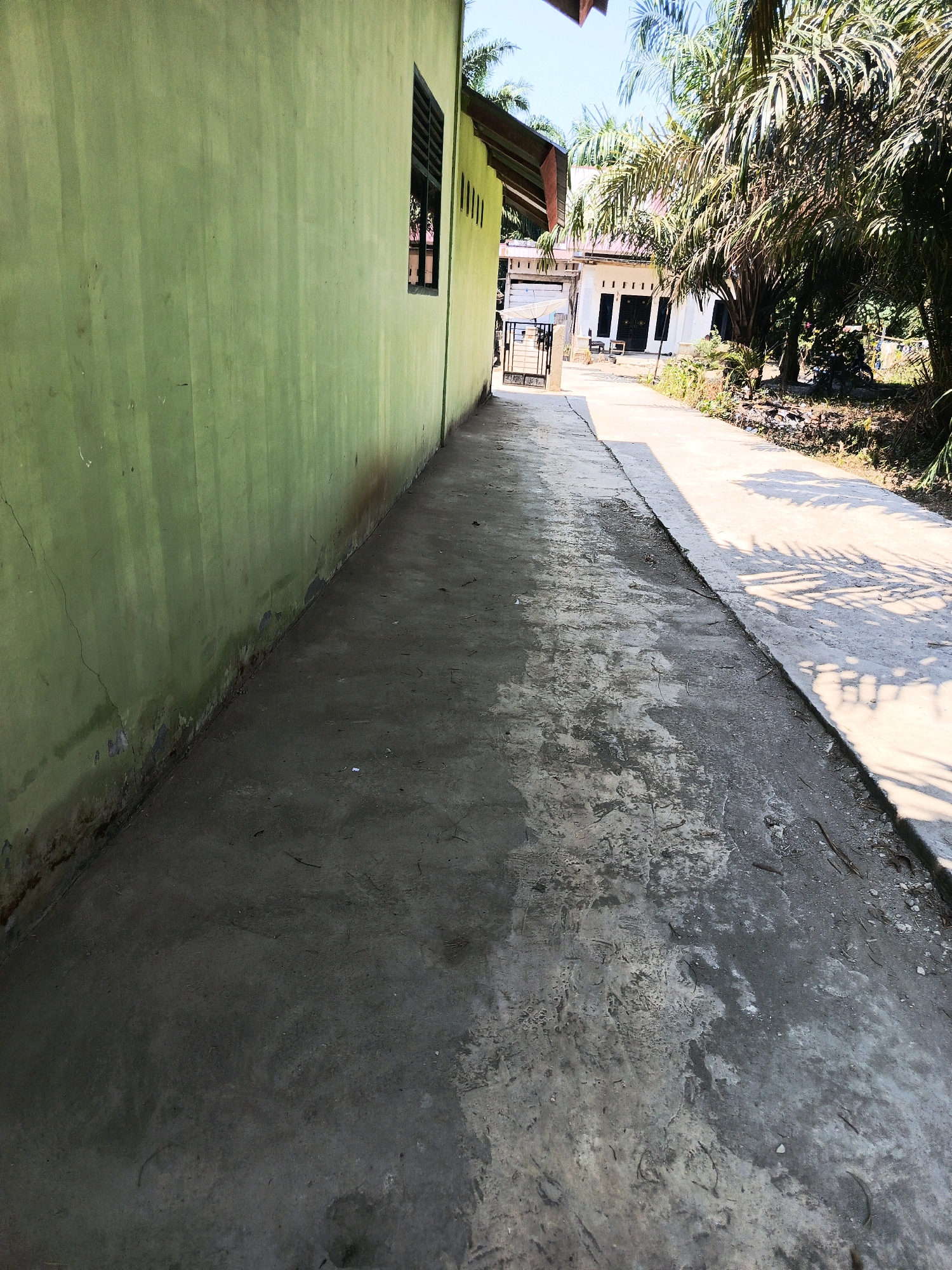 The image shows a narrow, paved walkway alongside a bright green building. The walkway is made of concrete and appears aged, with some areas showing discoloration and debris. To the right of the walkway, there is a yard with lush vegetation, including palm trees, and a white house with a dark double door and decorative pillars. A small black metal gate is visible at the entrance to the property. The scene is lit by bright sunlight, casting shadows from the palm trees onto the walkway and the ground. The overall impression is that of a residential area in a tropical climate, possibly in the city of Megang Sakti V, Indonesia, given the presence of palm trees and the architectural style of the house.