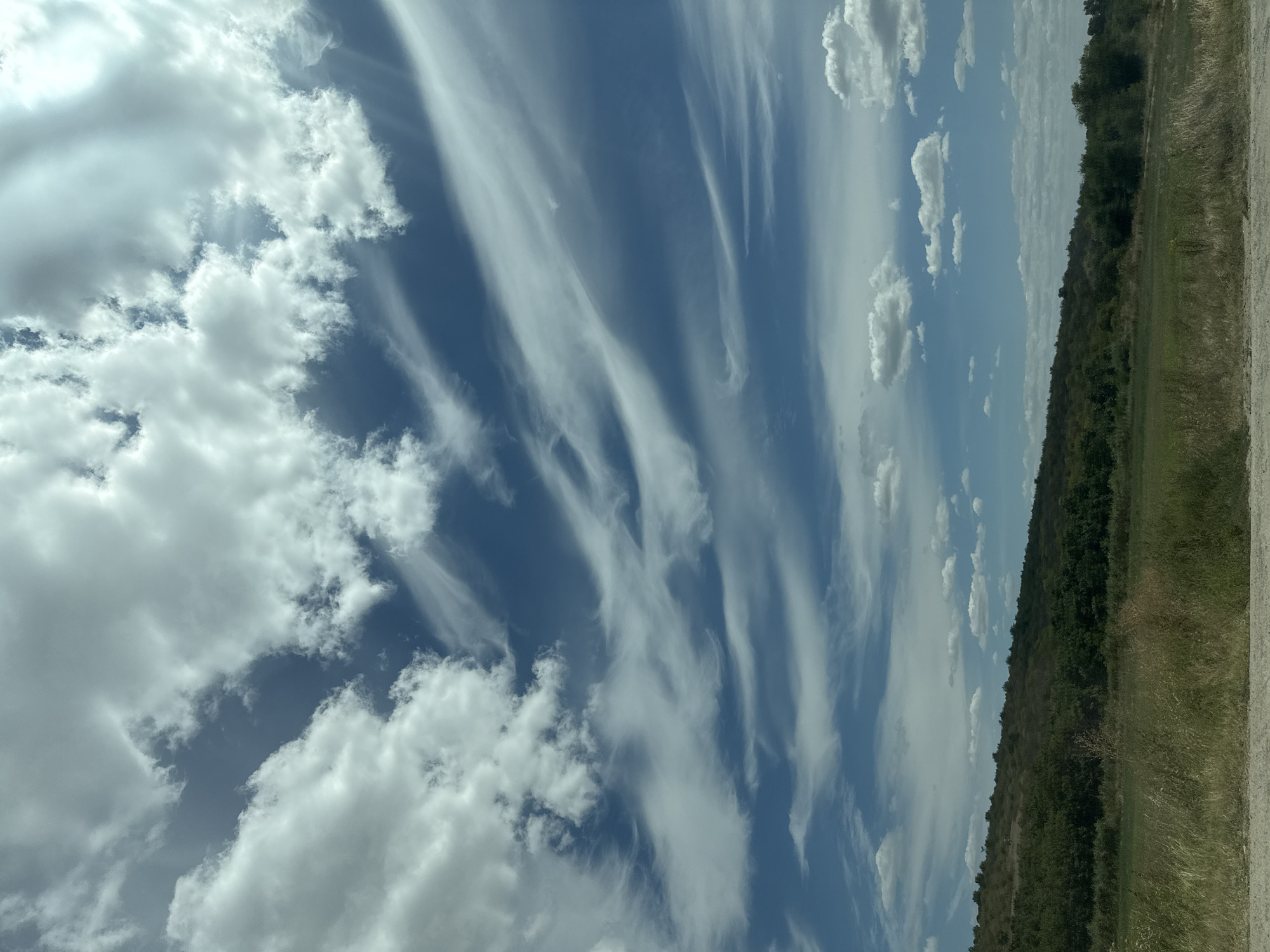 The image depicts a vast, open landscape with a rolling, tree-covered hill in the mid-ground and a clear blue sky filled with various types of clouds in the upper portion. In the foreground, a grassy field with dry, wispy vegetation runs along the bottom of the frame, suggesting a rural or undeveloped area. The sky is a prominent feature, showcasing a mix of fluffy cumulus clouds and more elongated, wispy cirrus clouds streaking across the blue expanse. The lighting suggests daytime, with the sun filtering through the clouds, creating variations in brightness and shadow. The overall scene is natural and serene, with no discernible human presence or activity. This landscape appears consistent with the rural outskirts of Horesti, Moldova, characterized by its rolling hills and natural vegetation.
