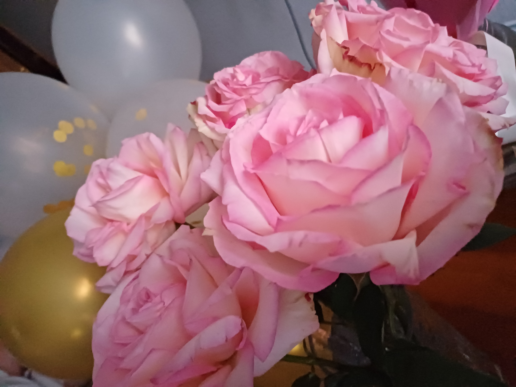 A close-up shot focuses on a bouquet of pink roses, their petals soft and layered, with some edges tinged with a slight blush of a darker pink or brown. Behind the roses, a cluster of balloons is visible. Three are a pale, translucent white, and one is a metallic gold. The white balloons appear to have subtle yellow or gold polka dots on them. The lighting suggests it might be indoors, possibly in the evening or in a dimly lit room, casting a warm glow on the golden balloon and highlighting the roses. The background is blurred, showing hints of a wooden surface and a darker, indistinct area. No people are visible, and no specific event or location is indicated beyond the presence of celebratory decorations. The overall mood is soft and romantic, possibly suggesting a special occasion like a birthday or anniversary. No text is visible in the image.