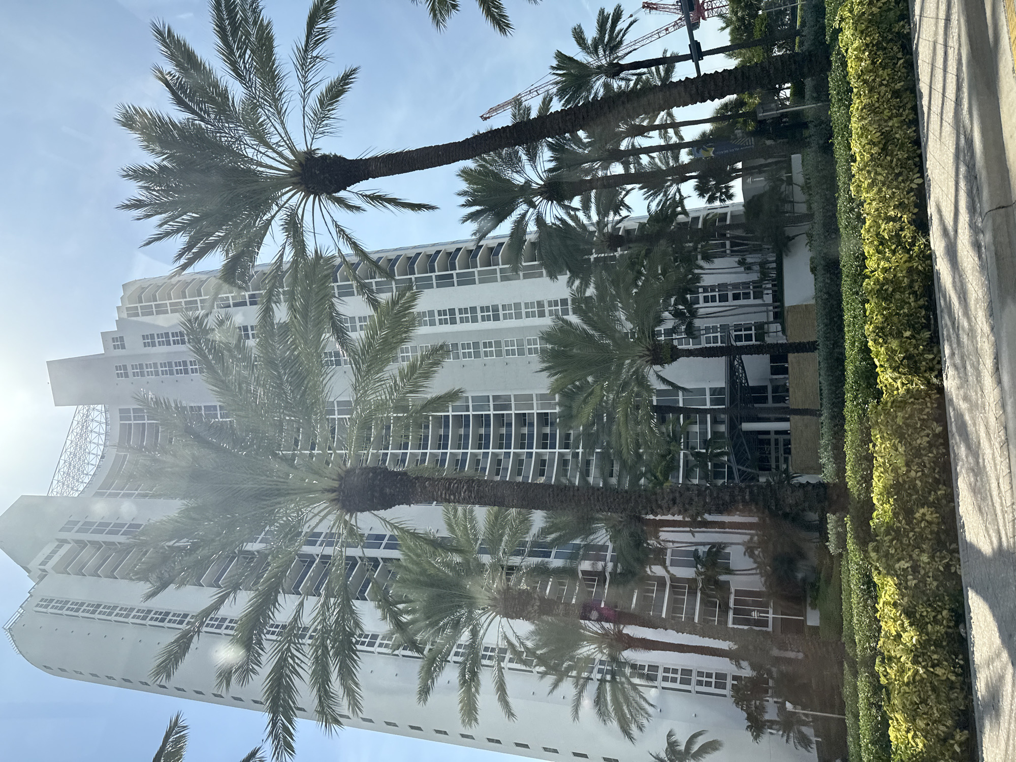 In Sunny Isles Beach, Florida, USA, a tall, modern, white residential building with many balconies and windows rises against a clear blue sky. Several palm trees, some very tall and slender, others shorter and fuller, are scattered in front of the building and in the foreground. Lush green bushes and some yellow-green foliage line the base of the building, creating a landscaped area. In the background, a construction crane is visible, suggesting ongoing development in the area. The scene is illuminated by bright sunlight, casting shadows on the pavement in the foreground. There are no people visible in the image.
