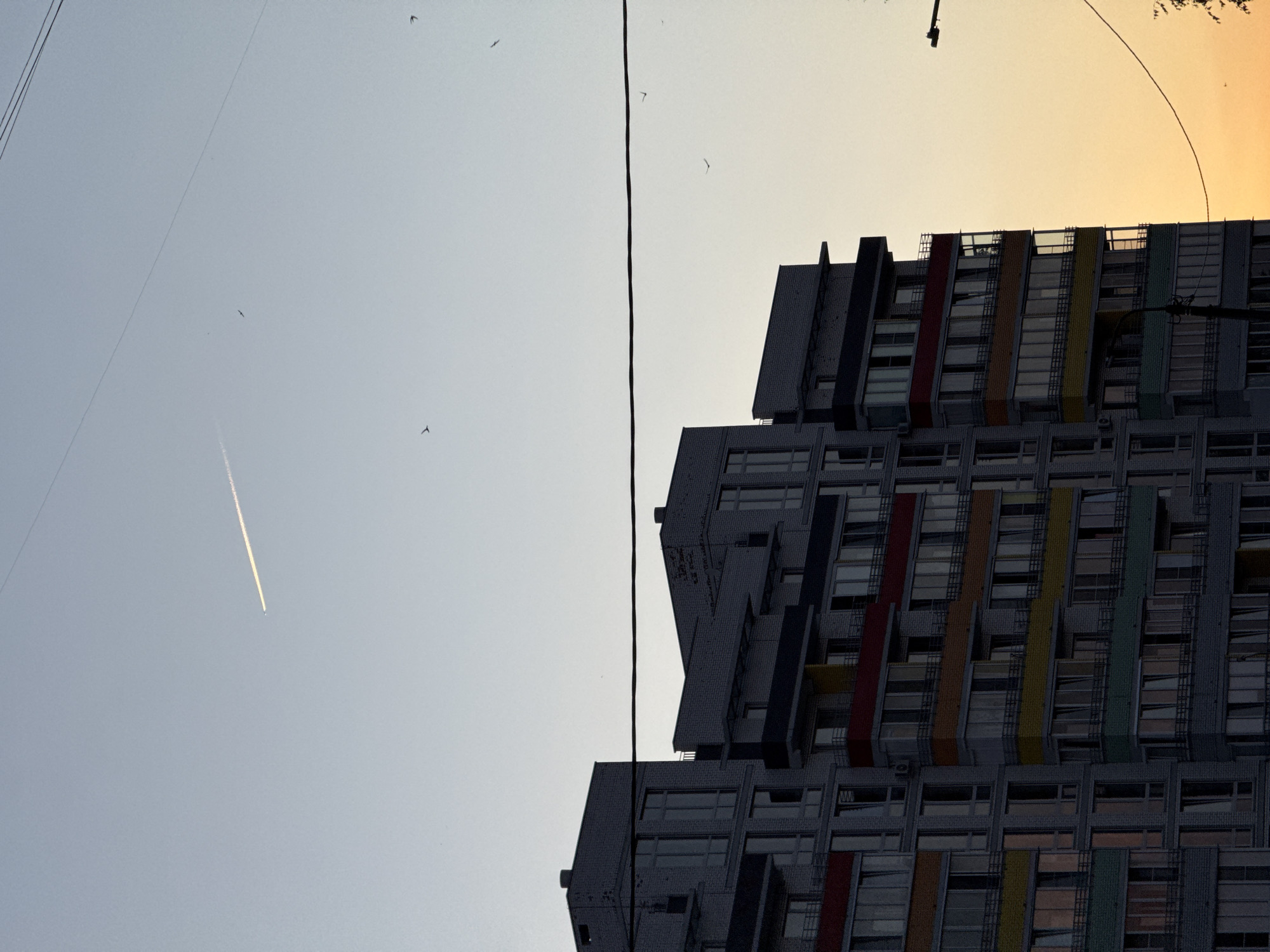 A multi-story residential building, appearing to be in Chaikovsky, Russia, dominates the lower portion of the frame. The building has a grey brick facade with colorful balconies, featuring bands of red, orange, yellow, and green. Numerous windows are visible, some reflecting the evening sky. In the upper half of the image, the sky transitions from a pale blue at the top to a warm yellow-orange near the horizon, suggesting a sunset. A contrail from an airplane stretches diagonally across the sky, and several small birds are also visible in flight. A thick black wire runs horizontally across the middle of the image, and another wire and a lamppost are visible on the right side. The overall scene depicts an urban environment during twilight.