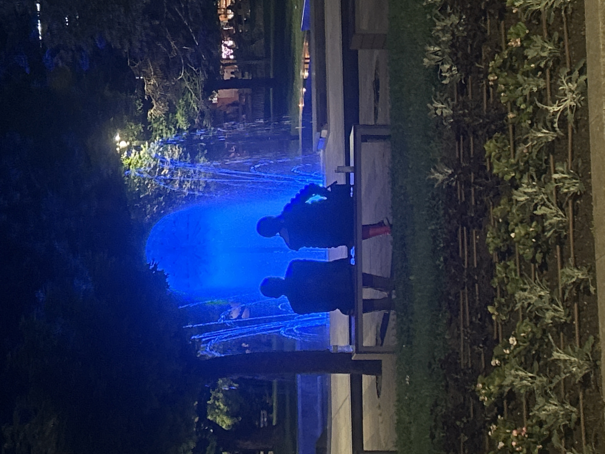 Two people are standing near a blue-lit fountain in a public space. They are silhouetted against the bright light. The location appears to be in Pleven, Bulgaria, as it is near a park or garden area with a vertical plant wall. A bench separates the fountain from the viewer. The scene appears to be at night.