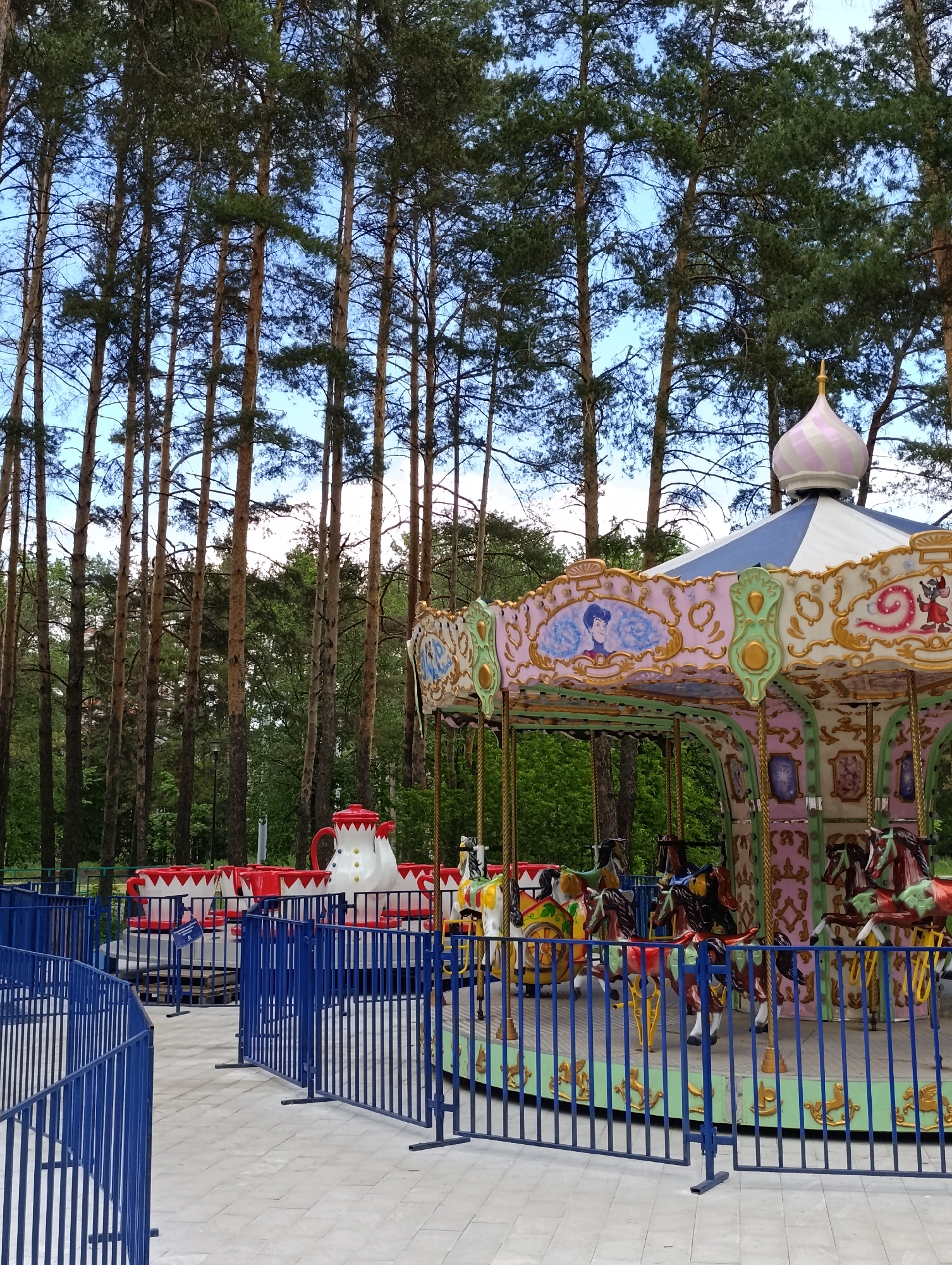 The image shows a carousel and a teacup ride in a park. The carousel has painted horses and decorative panels with characters. A blue metal fence surrounds the carousel and tea cup ride. Behind the rides are tall pine trees. The location is in Perm, Russia.