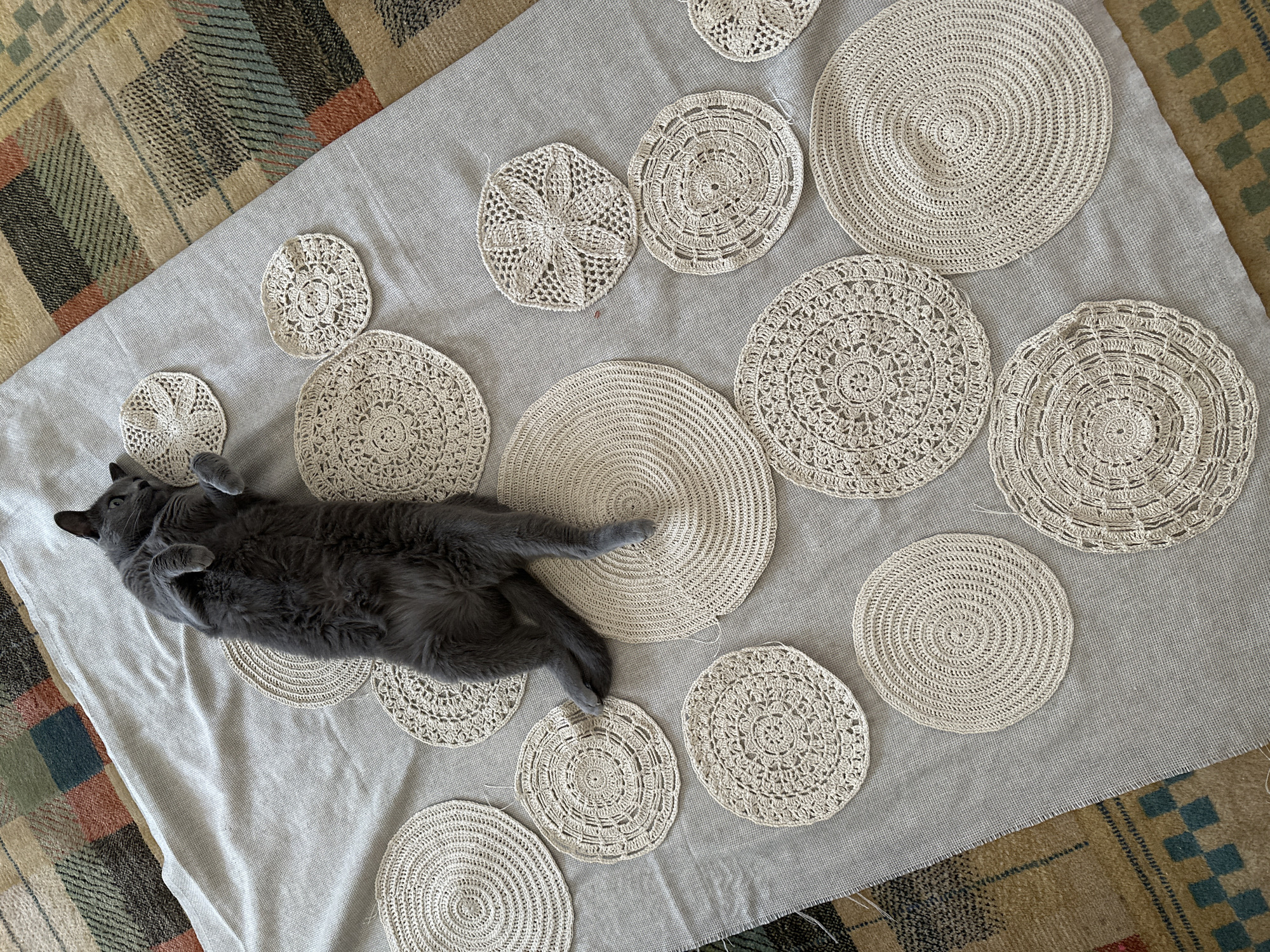 An overhead shot shows a gray cat lying on its back on a light gray fabric that is spread across a patterned rug. The cat is positioned centrally on the fabric, with its paws and tail visible. Scattered around the cat on the fabric are twelve crocheted doilies of various sizes and intricate patterns. Some doilies are solid and circular, while others have delicate, lacy designs. The fabric itself appears to be a natural fiber, possibly linen or cotton, with a subtle weave. The rug beneath has a geometric pattern with muted colors including brown, beige, green, and red. The overall scene suggests a domestic setting, possibly a craft area or a relaxed moment at home.