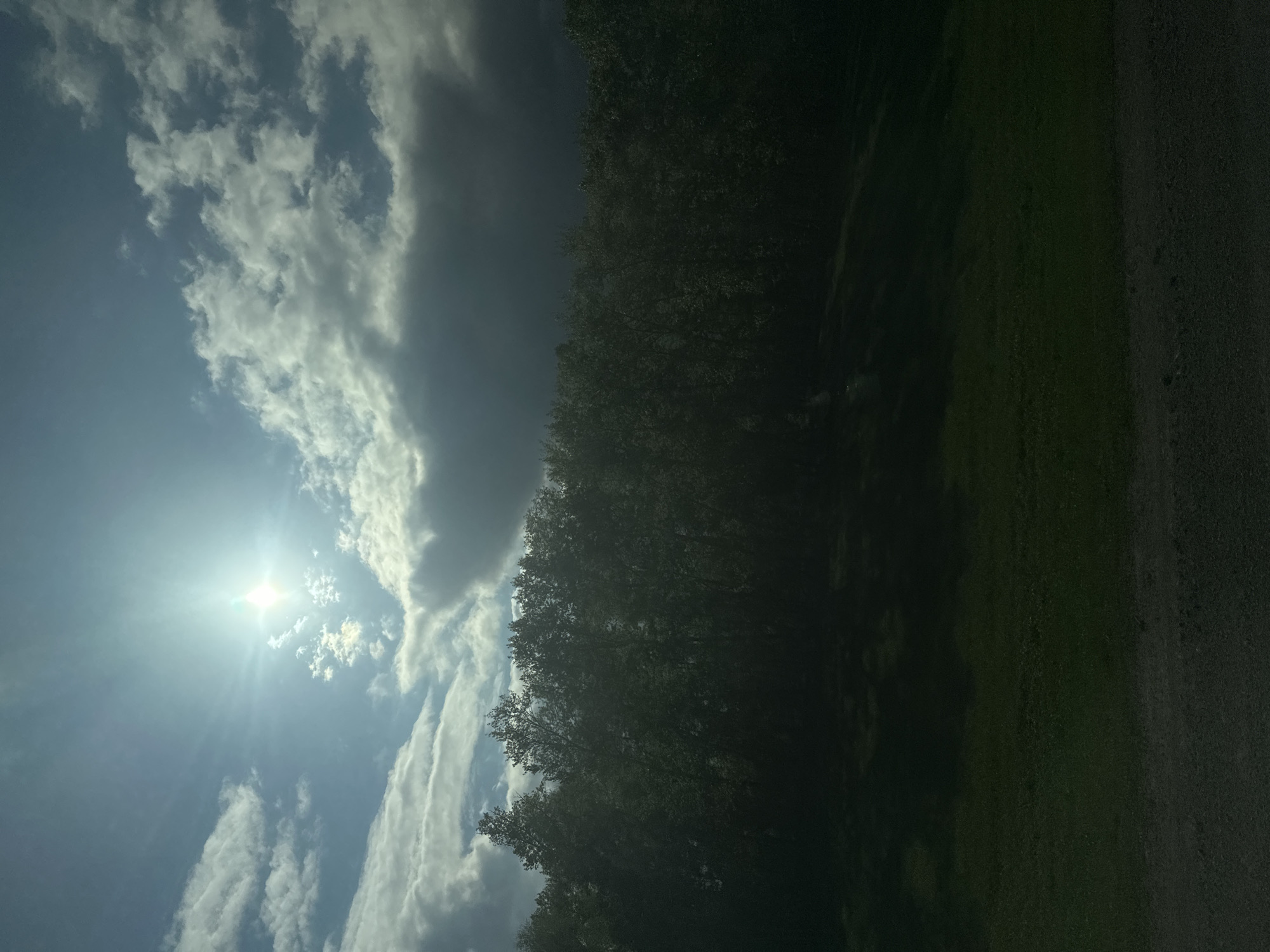 The image shows a bright, sunny sky with scattered white clouds. The sun is visible and creating a glare. A dark line of trees runs along the middle and right side of the image, obscuring much of the ground. The right edge of the image appears to be a paved surface. Location is purported to be Bezmenovo, Russia.