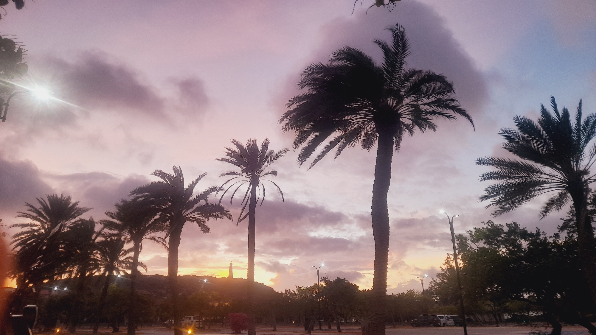 In the city of Pedro González, Venezuela, this image captures a twilight scene dominated by silhouetted palm trees against a dramatic sky. The sky displays hues of purple, pink, and faint orange, with clouds creating textured patterns. A bright light source, possibly a street lamp or a distant sun, shines from the upper left. In the distance, a lighthouse or tall structure is visible on a hill, illuminated by the setting sun. The foreground features more palm trees of varying sizes, with some vegetation and a road with parked vehicles. The overall atmosphere is serene and tropical, typical of a coastal sunset.