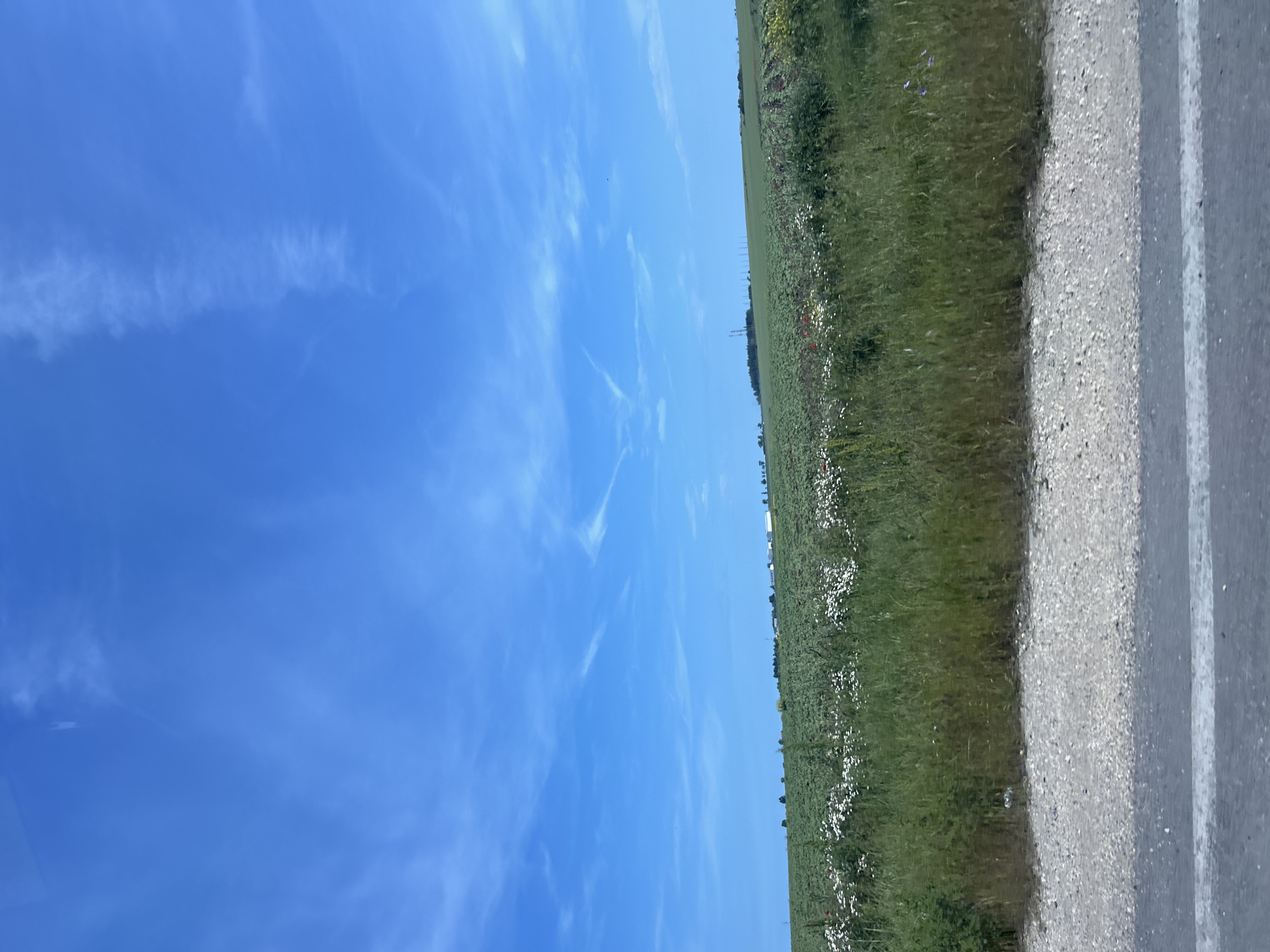 This image captures a bright, expansive rural landscape under a clear blue sky. The scene is dominated by a wide, vibrant blue sky filling the upper portion, featuring sparse, delicate wisps of white clouds, indicative of fair weather.
The lower half of the image presents a verdant green field stretching into the distance on the left. This field is densely covered with grass and dotted with numerous small white wildflowers, along with hints of red and purple blooms, suggesting a natural or agricultural setting. Along the distant horizon, a faint line of darker green vegetation and subtle, indistinct structures, possibly power line towers or distant buildings, are visible.
On the right side of the frame, a light-colored, gravelly shoulder or verge runs alongside what appears to be an asphalt road, partially visible on the far right with a distinct white line marking its edge.
The overall impression is one of peacefulness and openness on a clear and sunny day, likely late morning or early afternoon, given the strong natural light. There are no people or specific activities taking place. No text is visible. The scene is set in a rural area, consistent with the provided location context of Kumanovo, Bulgaria.