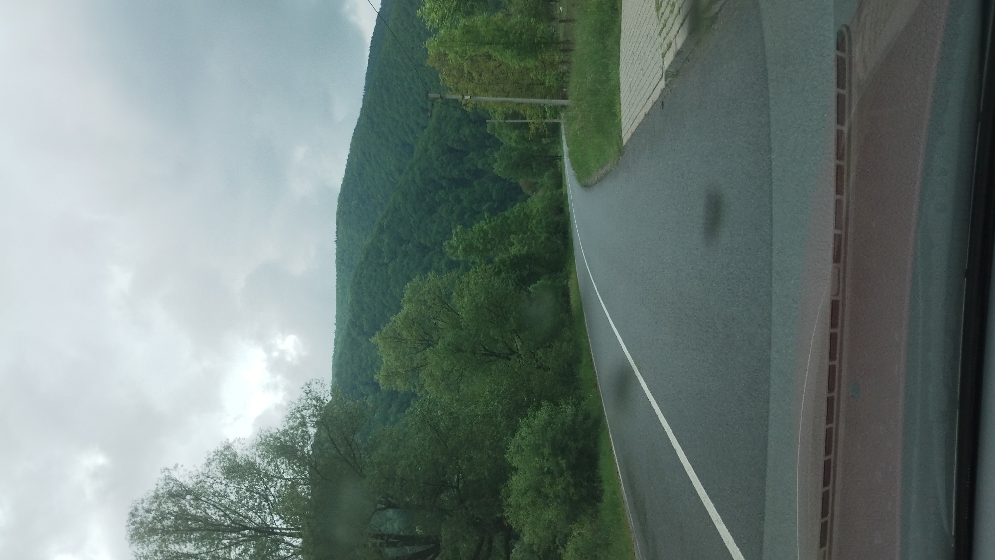 This media file captures a scene from a car driving on a road in Bilyn, Ukraine. The camera is positioned inside the vehicle, looking out at the landscape. The primary subjects are the road, a lush green forested hillside, and a cloudy sky.
The road is asphalt with a white line marking the lane. It appears to be wet, suggesting recent rain. To the left of the road, the hillside is densely covered with green trees, indicating a natural, possibly mountainous, environment. There are some visible trees closer to the road as well, with a grassy verge separating the road from the forest. On the far right side of the image, a section of a brick wall is visible, bordering the road. The sky is overcast with a significant amount of clouds, giving the scene a muted, diffused light, characteristic of a cloudy or possibly rainy day. The time of day appears to be daytime, but the cloud cover obscures direct sunlight.
There are no people or animals visible in the frame. The overall mood is serene and natural, with the focus on the driving experience and the surrounding scenery. No text is visible in the image. The context provided of Bilyn, Ukraine, suggests a rural or semi-rural setting within the country.