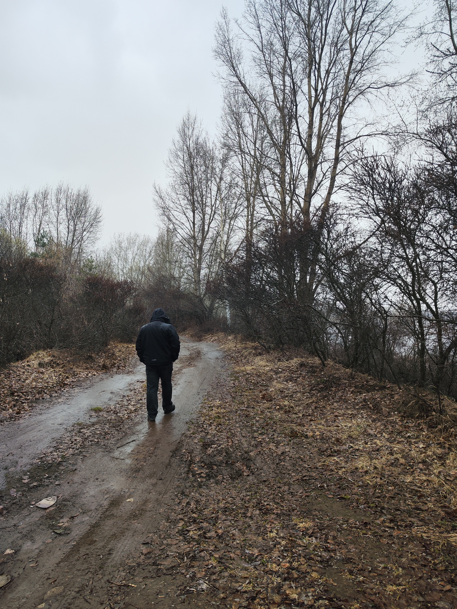 A person wearing a dark jacket and pants walks away from the viewer on a muddy path. The path is covered in fallen leaves and is wet. Trees and bushes line the path on both sides. The sky is overcast. The location is likely Chaikovsky, Russia based on the prompt.